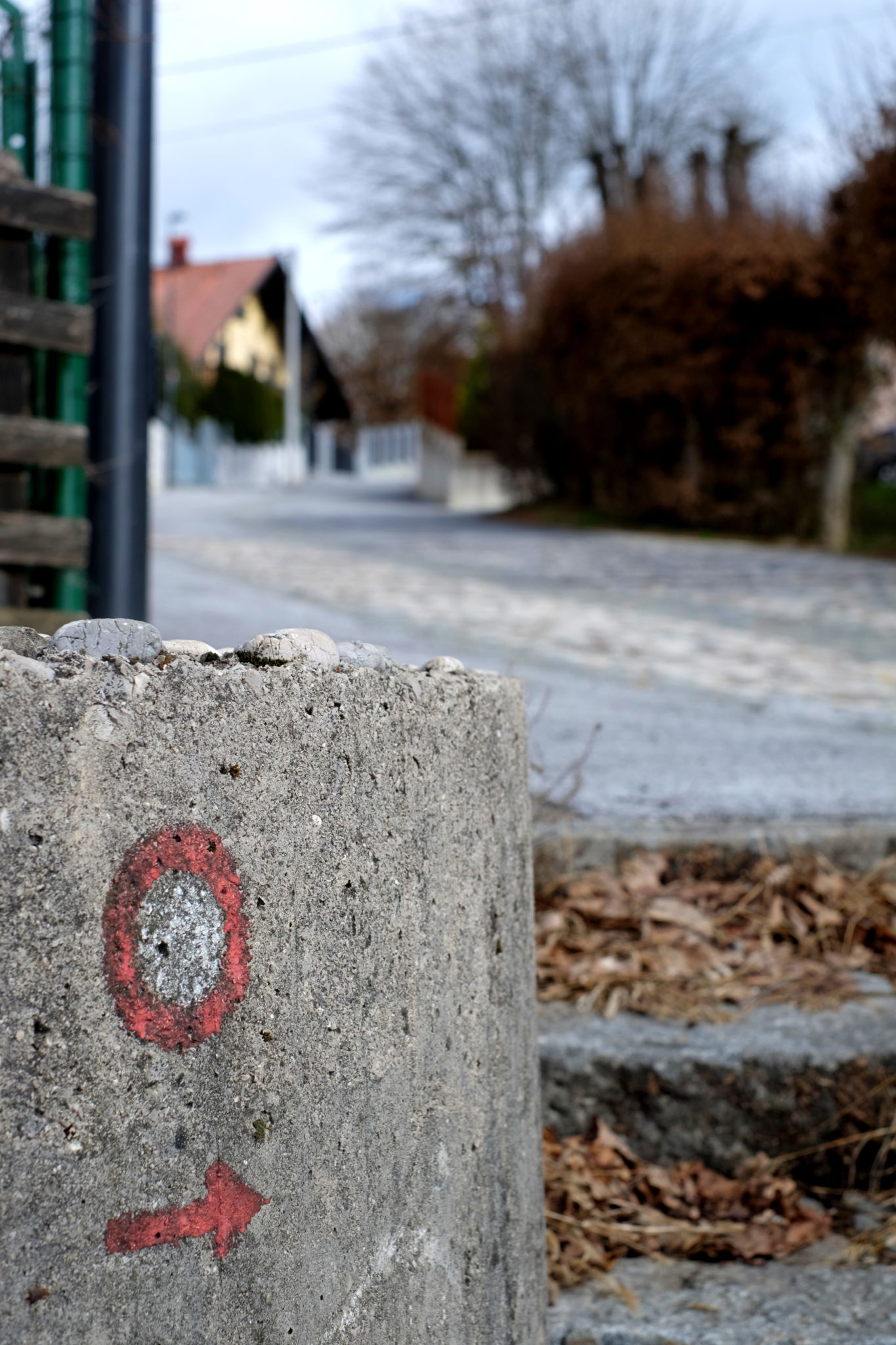 The beginning of the trail to Golovec accessible from the Hradeckega Road. Photo by: Exploring Slovenia.