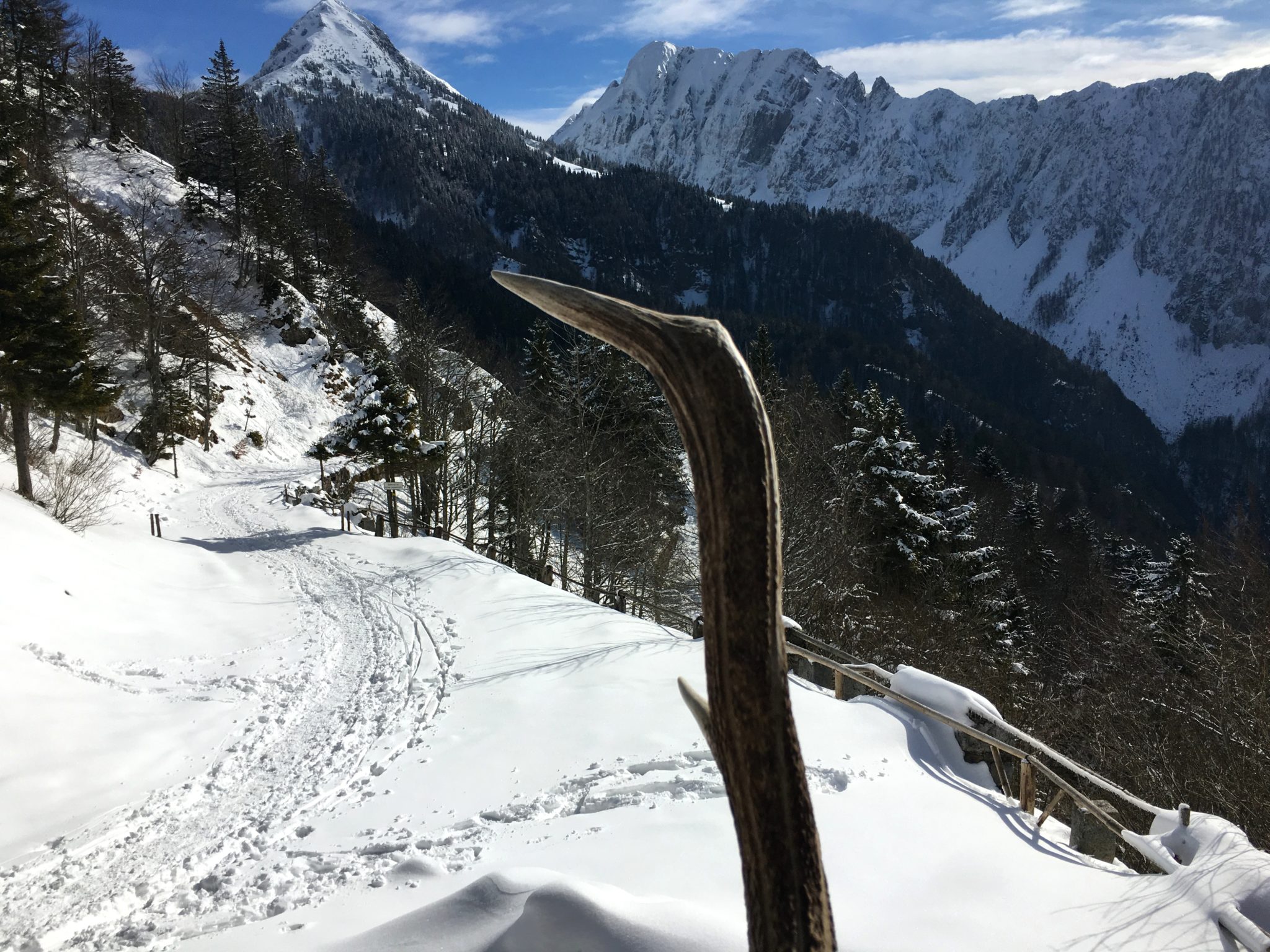 Mt. Košutica and the Košuta massif seen from the old Ljubelj Pass.