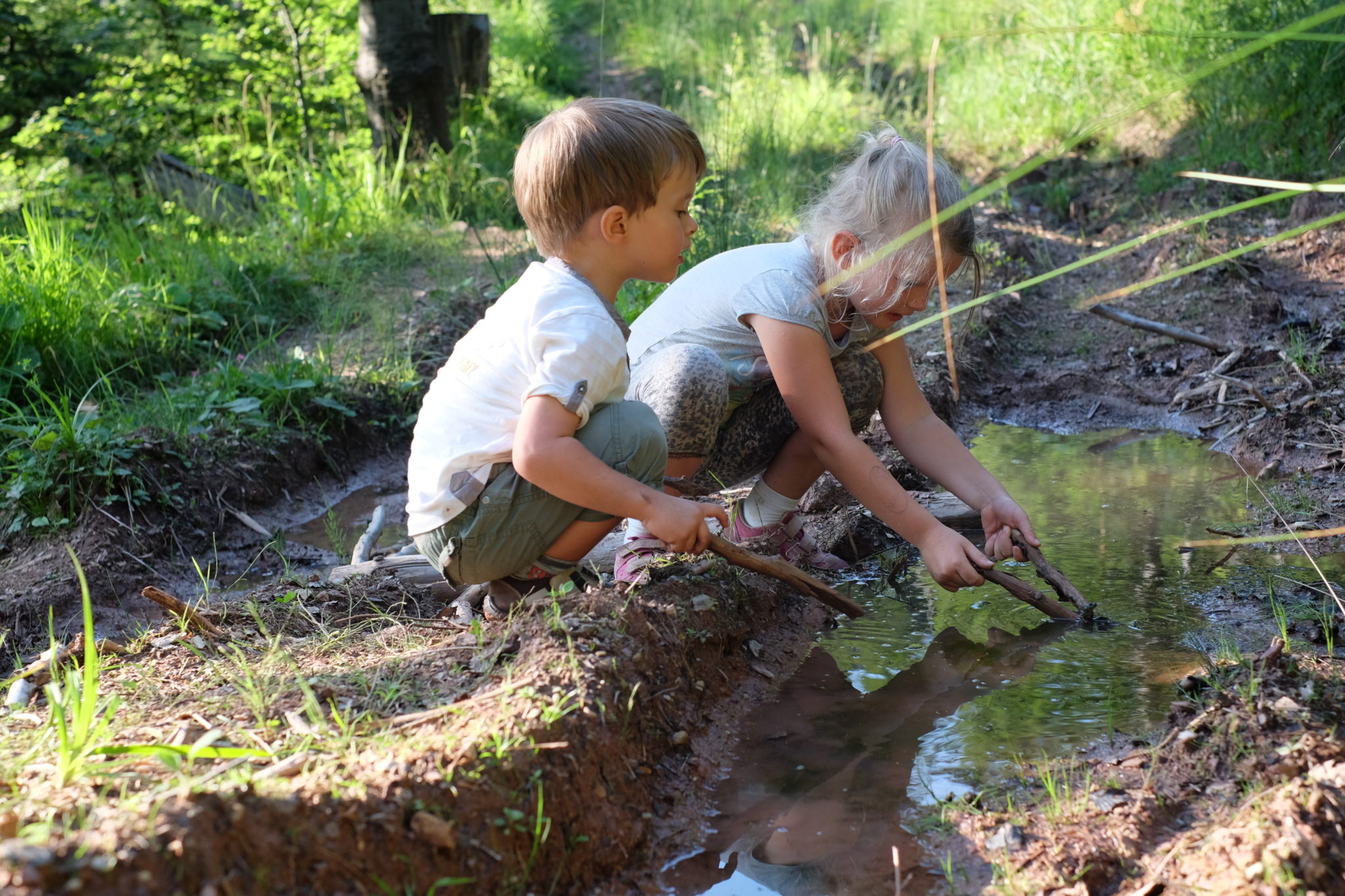Yep, they are picking at a muddy puddle full with baby frogs. Photo by: Exploring Slovenia.