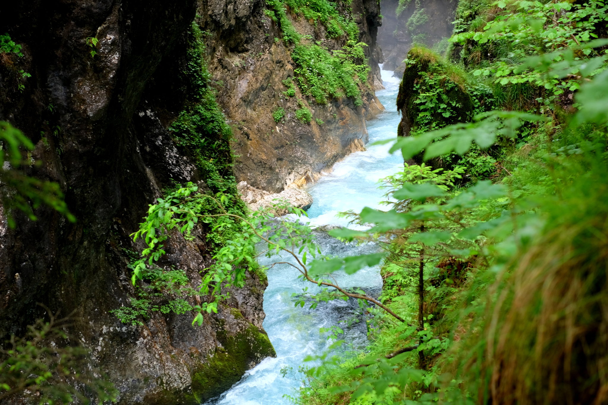 Cycling to Kamniška Bistrica and exploring the hidden pearls on the way; 39.6 km (24.6 mi), 4 h, 535 m (1,755 ft) ascent. Ljubljana – Gorge Predaselj – the source of the Kamniška Bistrica river – torrent Krvavec. 