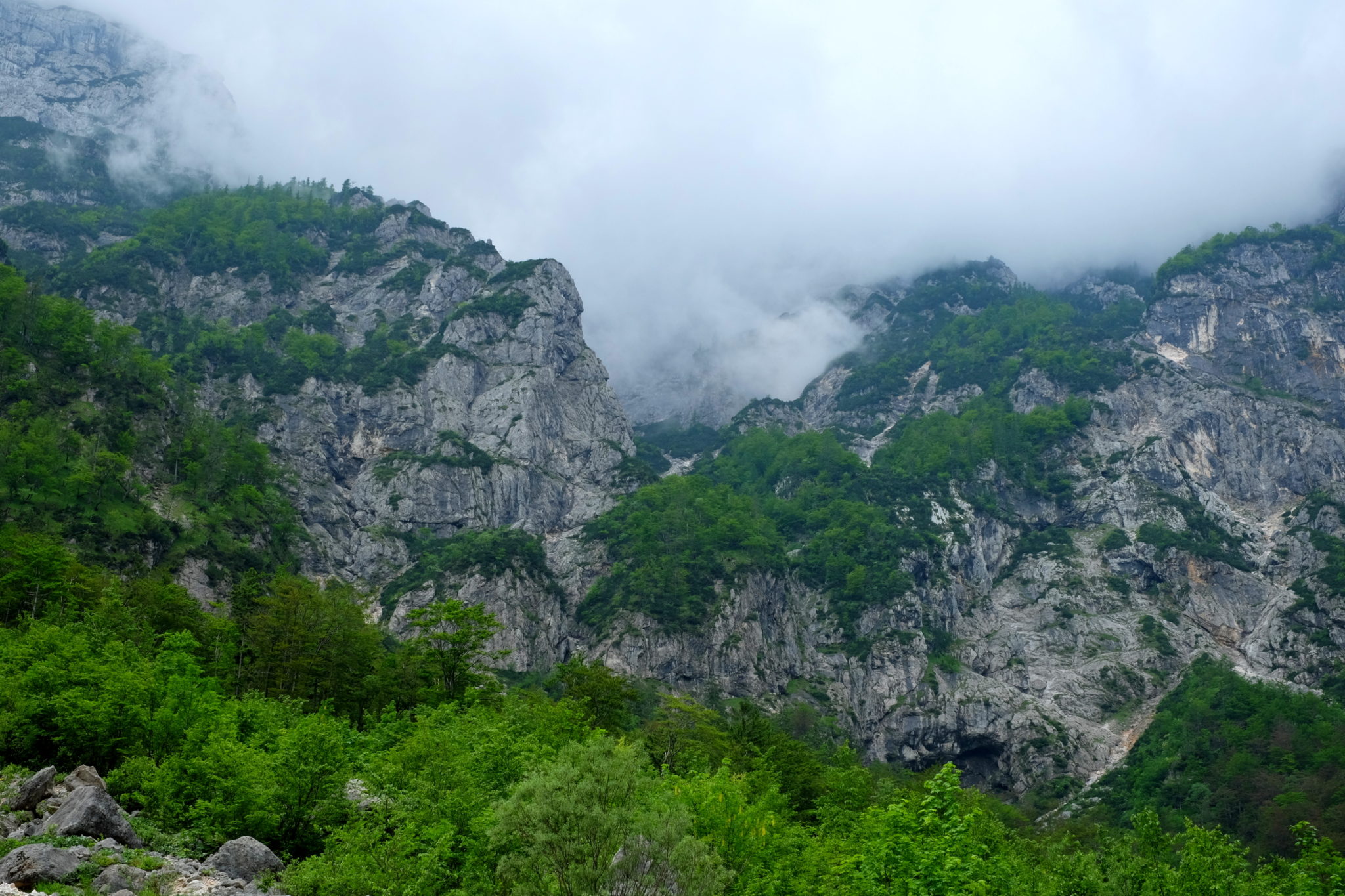 Below Mt. Koren and Mt. Kalški greben.