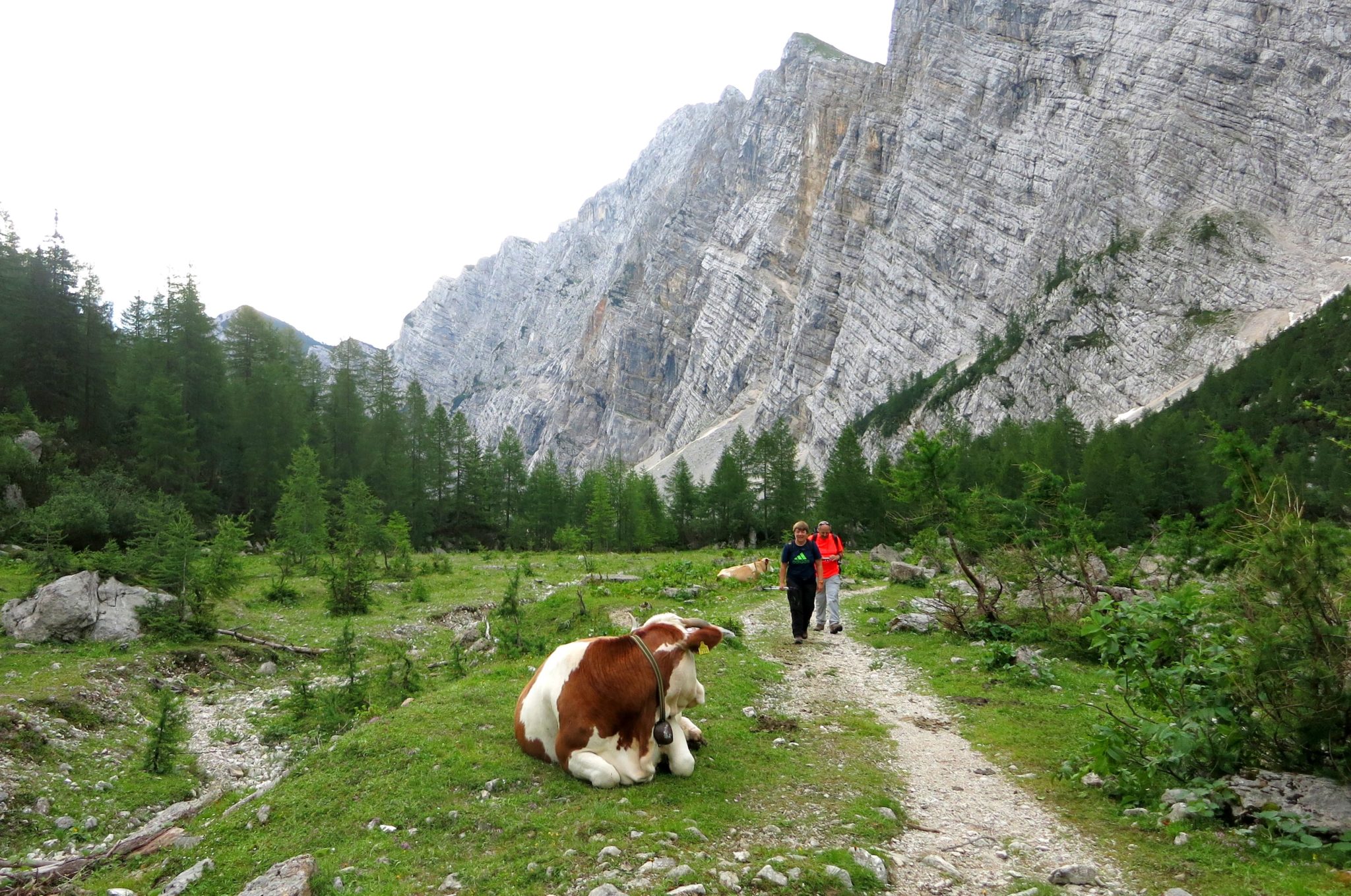 Climbing Triglav from the Krma valley