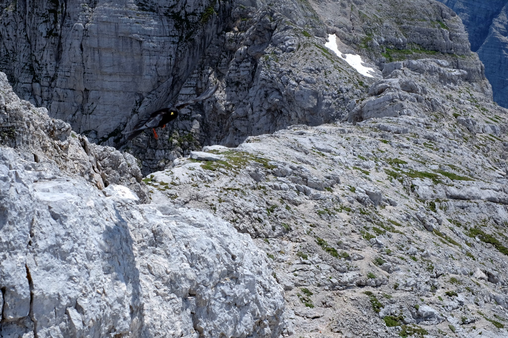 The trail from Križ to Stenar.