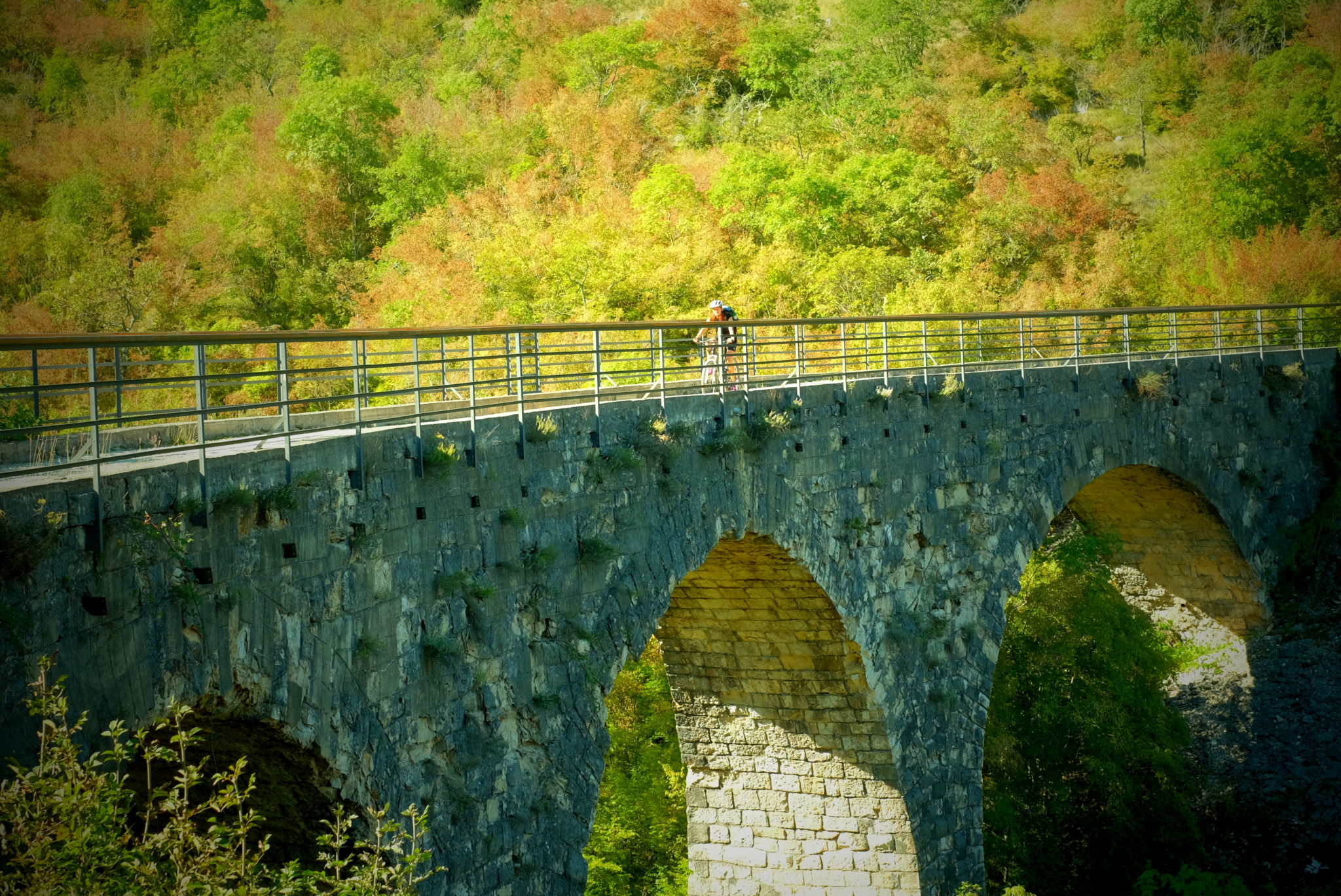 Cycling Parenzana; Buje - Grožnjan - Motovun - Vižinada -Poreč