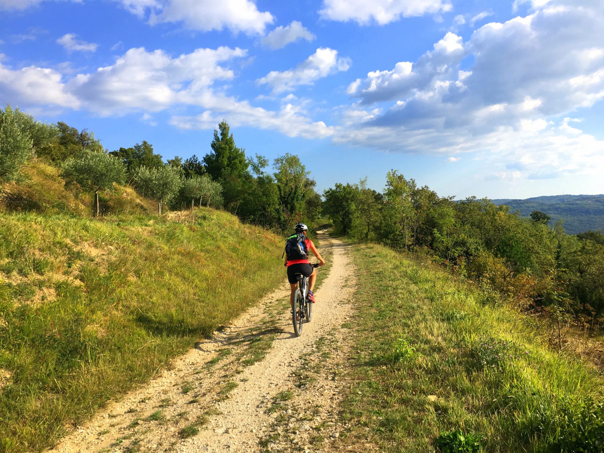 Cycling Parenzana; Buje - Grožnjan - Motovun - Vižinada -Poreč