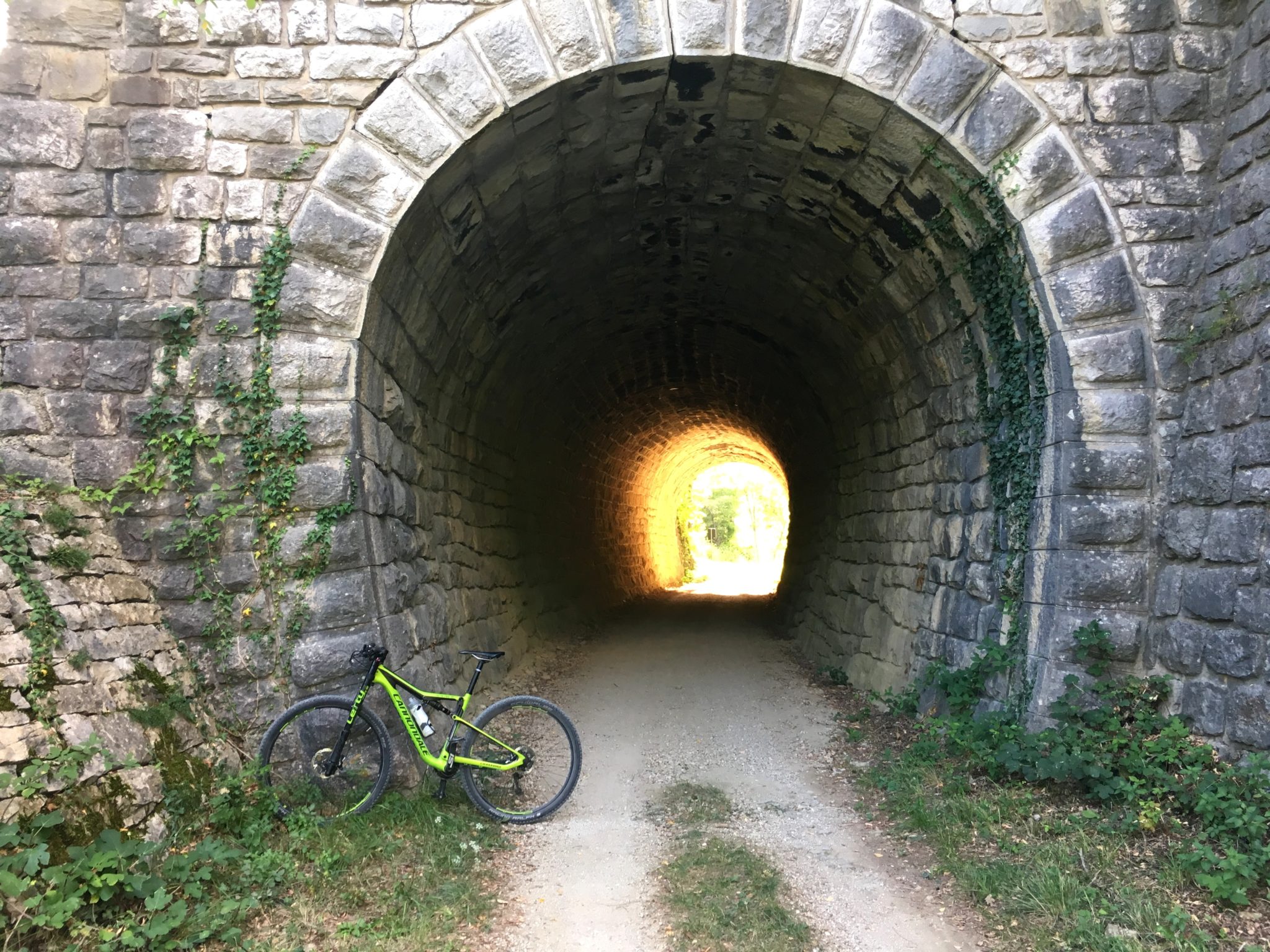 Cycling Parenzana; Buje - Grožnjan - Motovun - Vižinada -Poreč