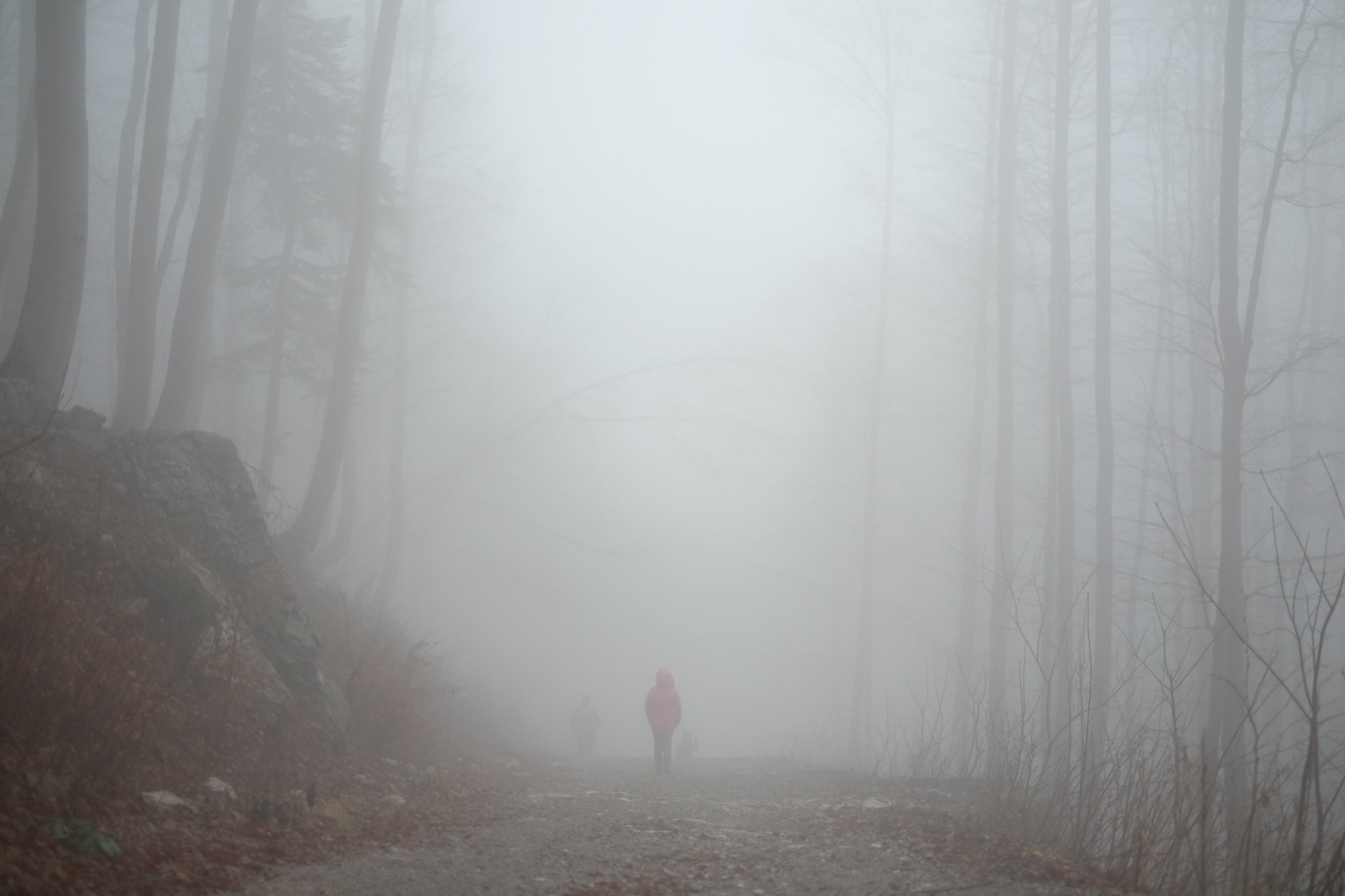 A child walking in the mountains on a foggy day. Photo by: Exploring Slovenia