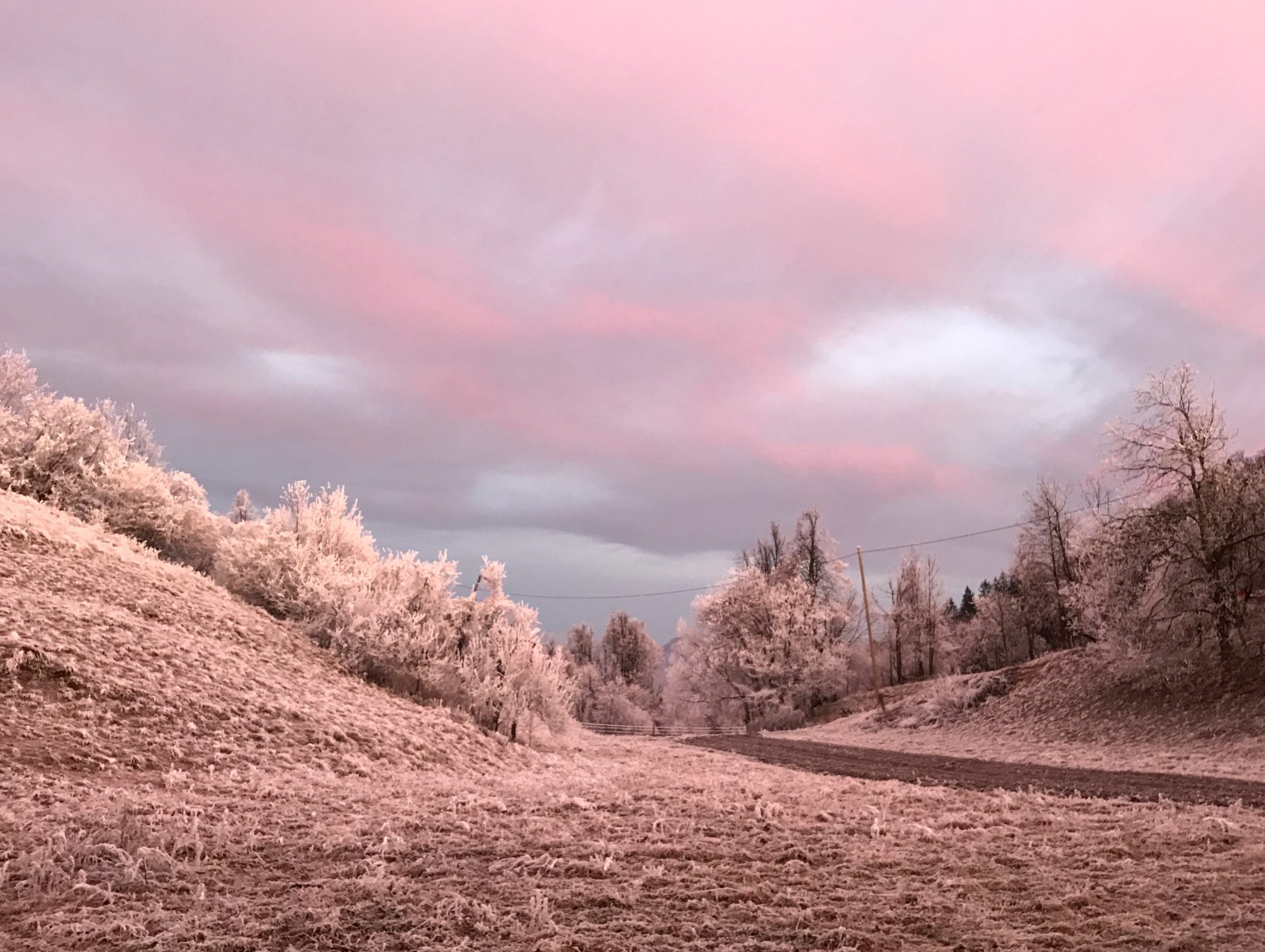 Sunrise colors on the trail to Šmarna Gora