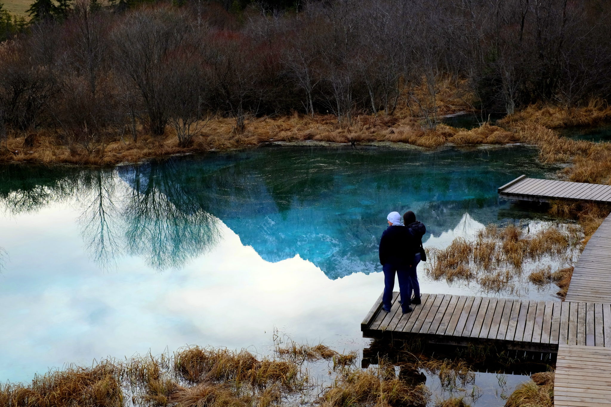 The Zelenci Springs near Kranjska Gora