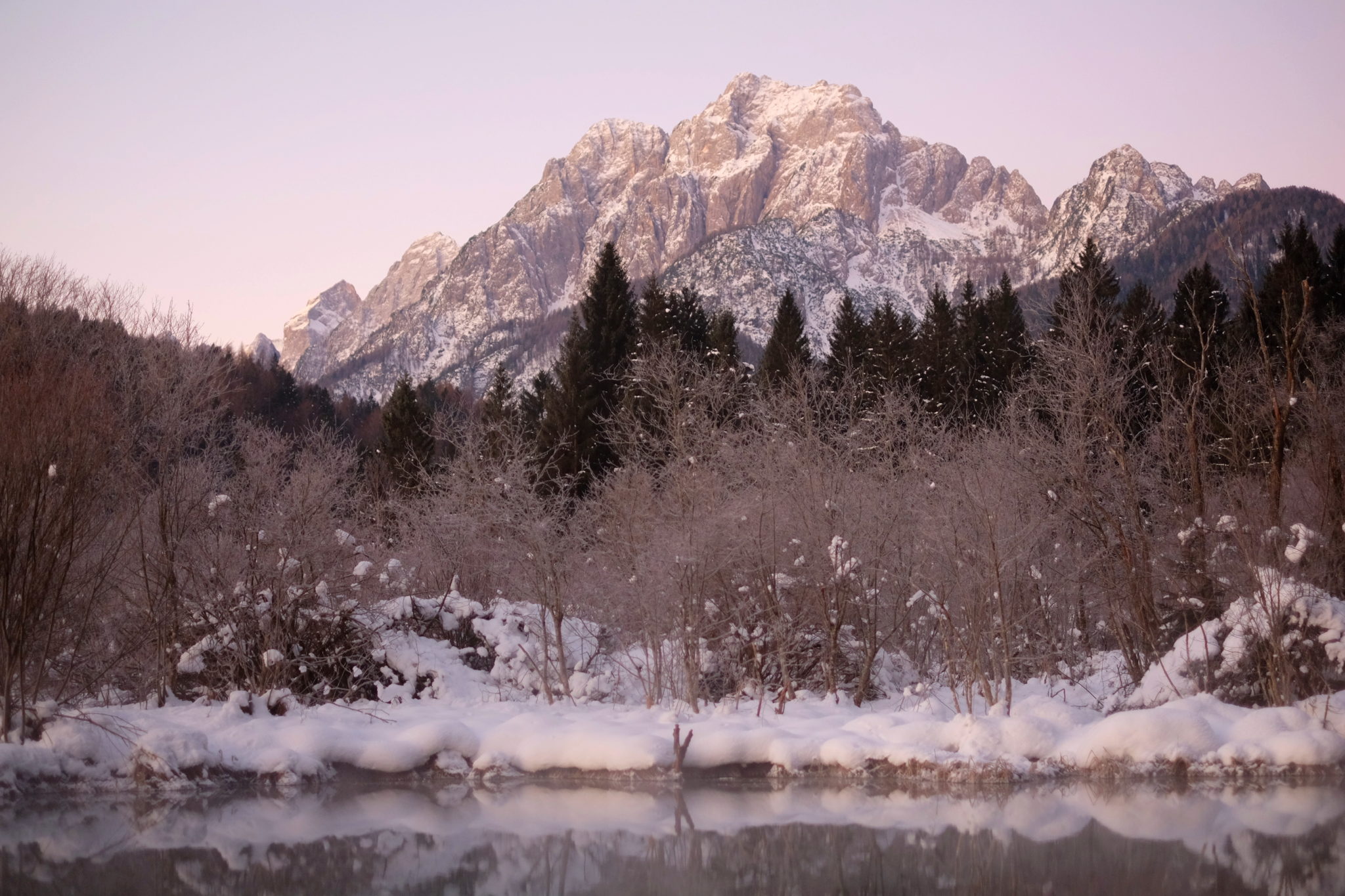 The Zelenci Springs near Kranjska Gora