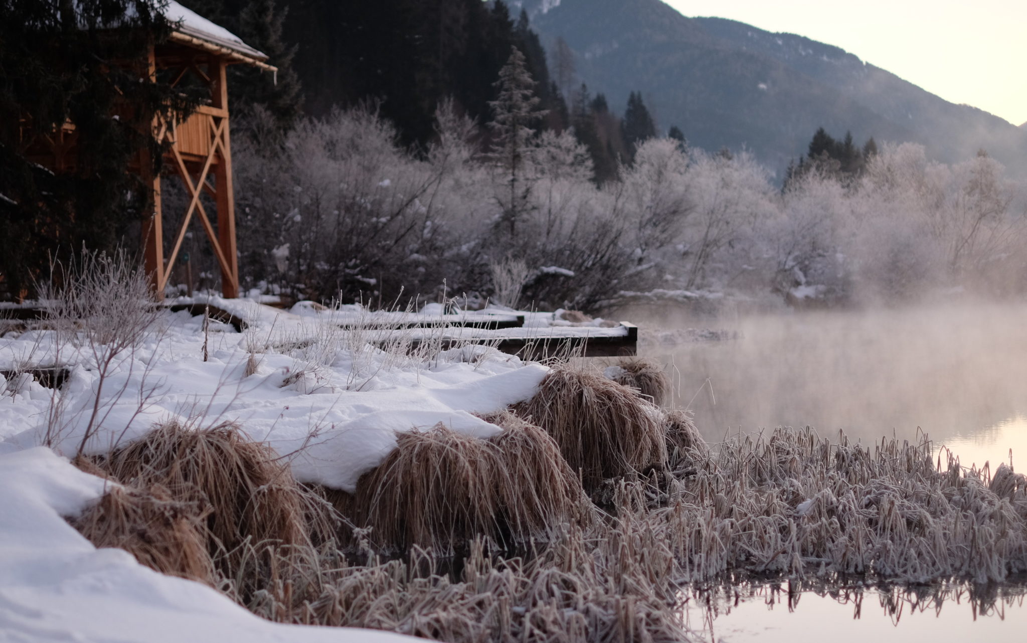 The Zelenci Springs near Kranjska Gora