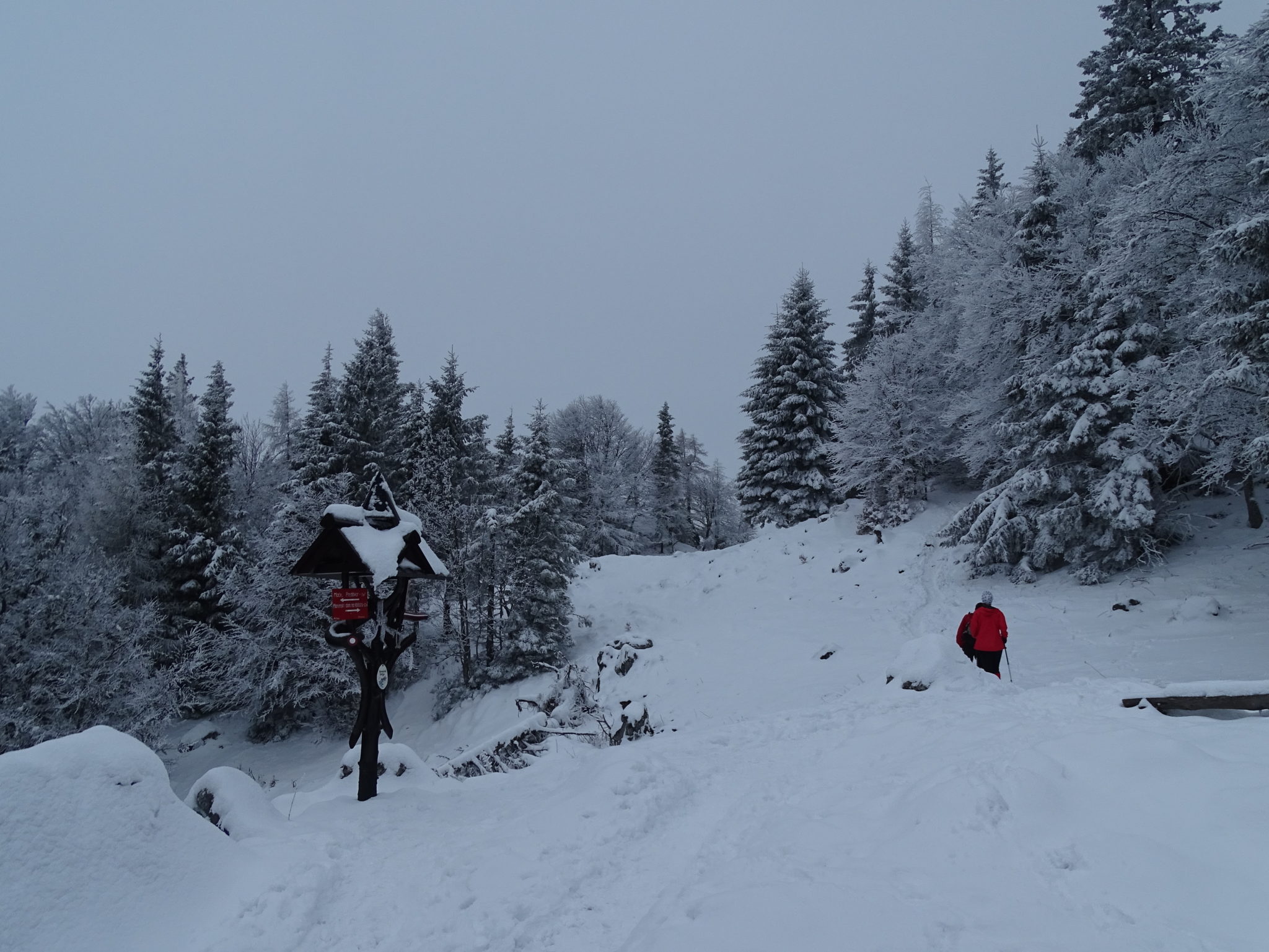 Hiking towards the mountain hut Kališče