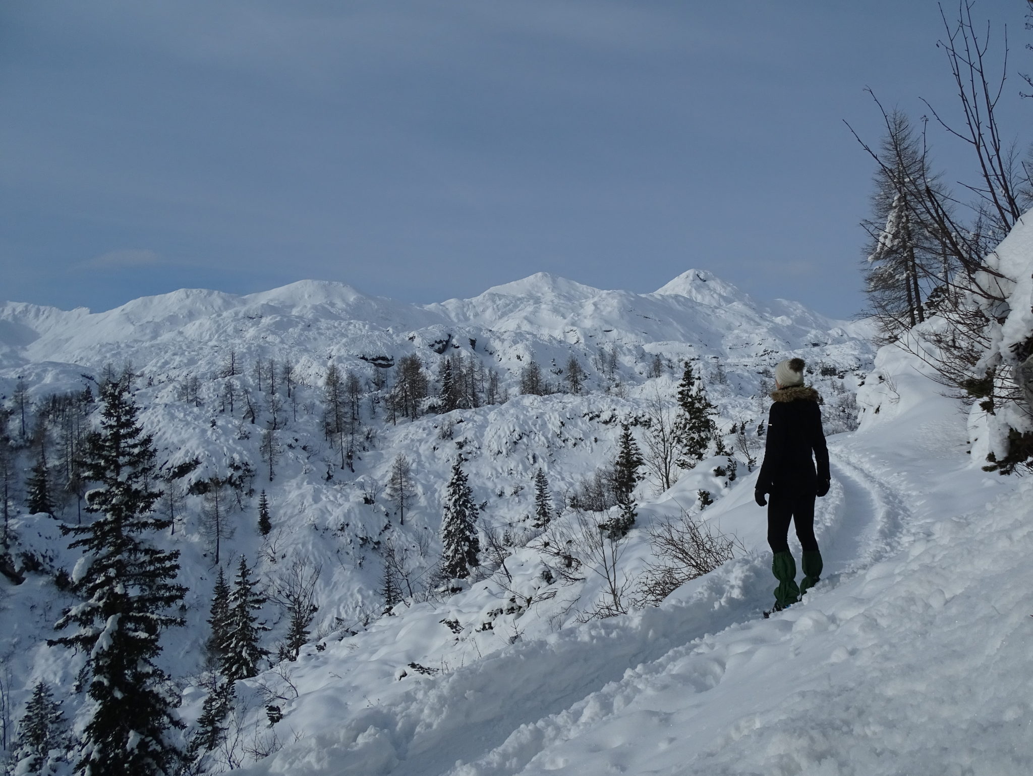 On the way to the Bogatin mountain hut from Komna