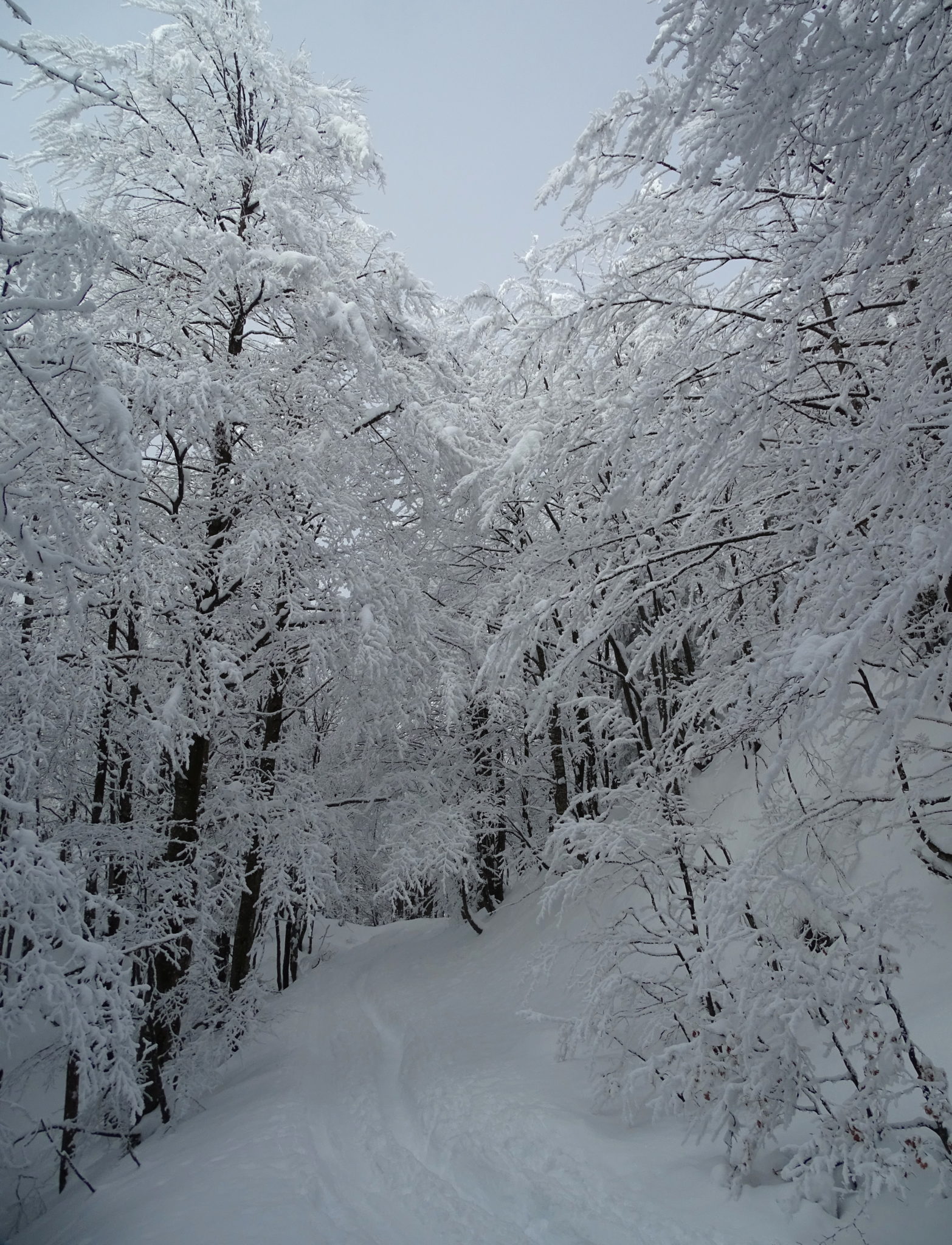 The trail to Komna from the Savica Waterfall parking lot is marked for 2.5 hours.