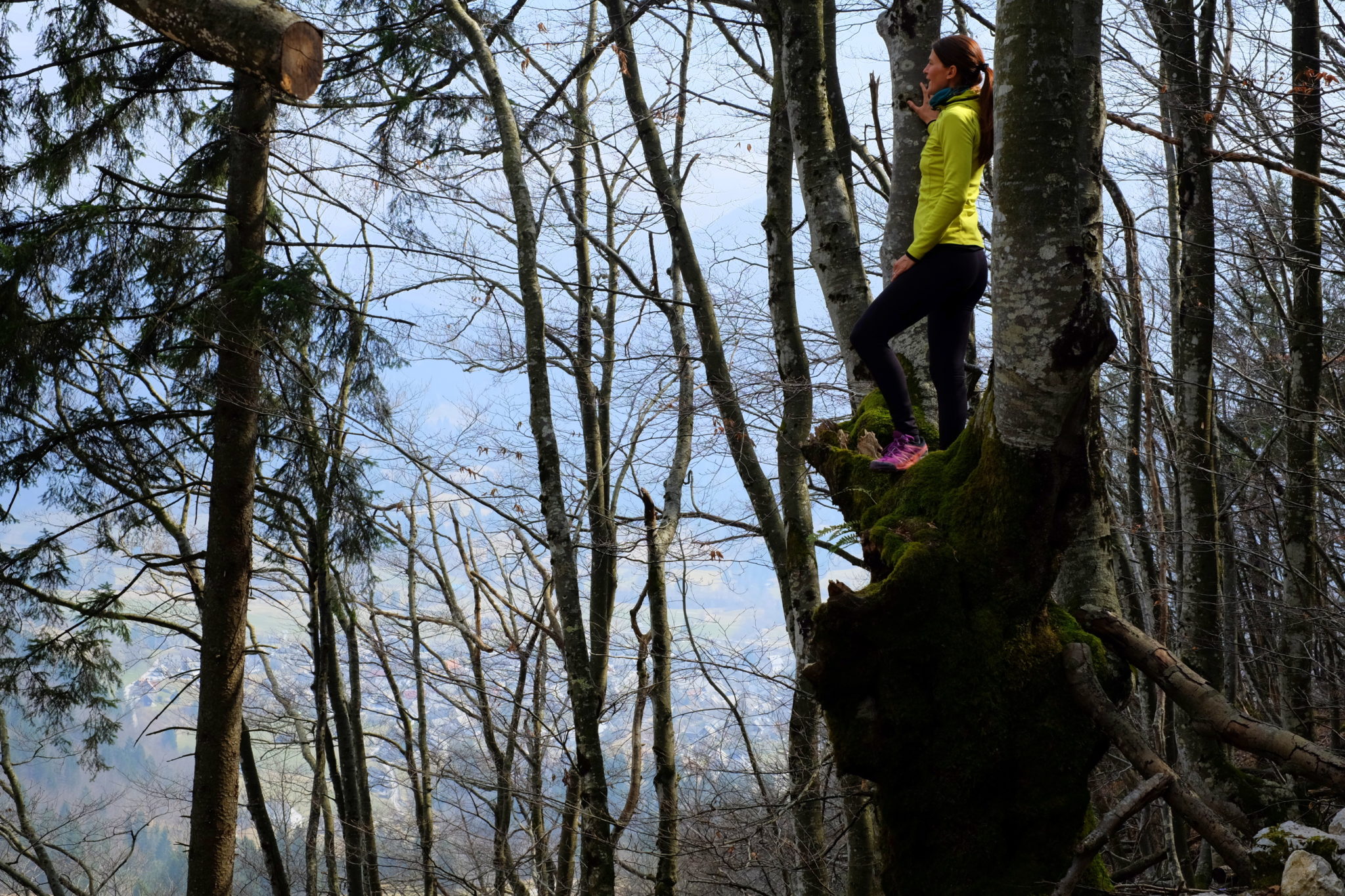 On a tree