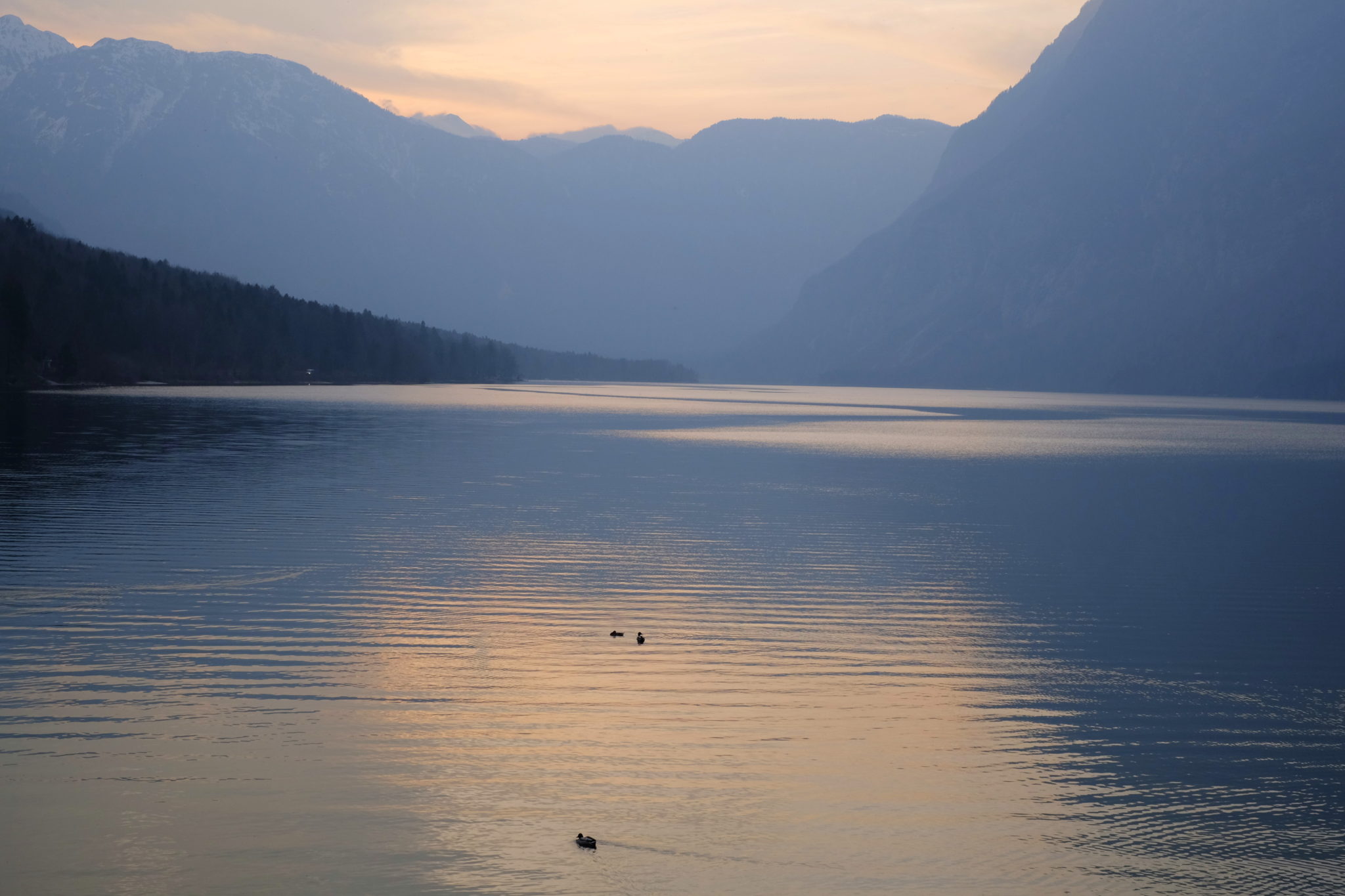 Lake Bohinj at sunset, Slovenia