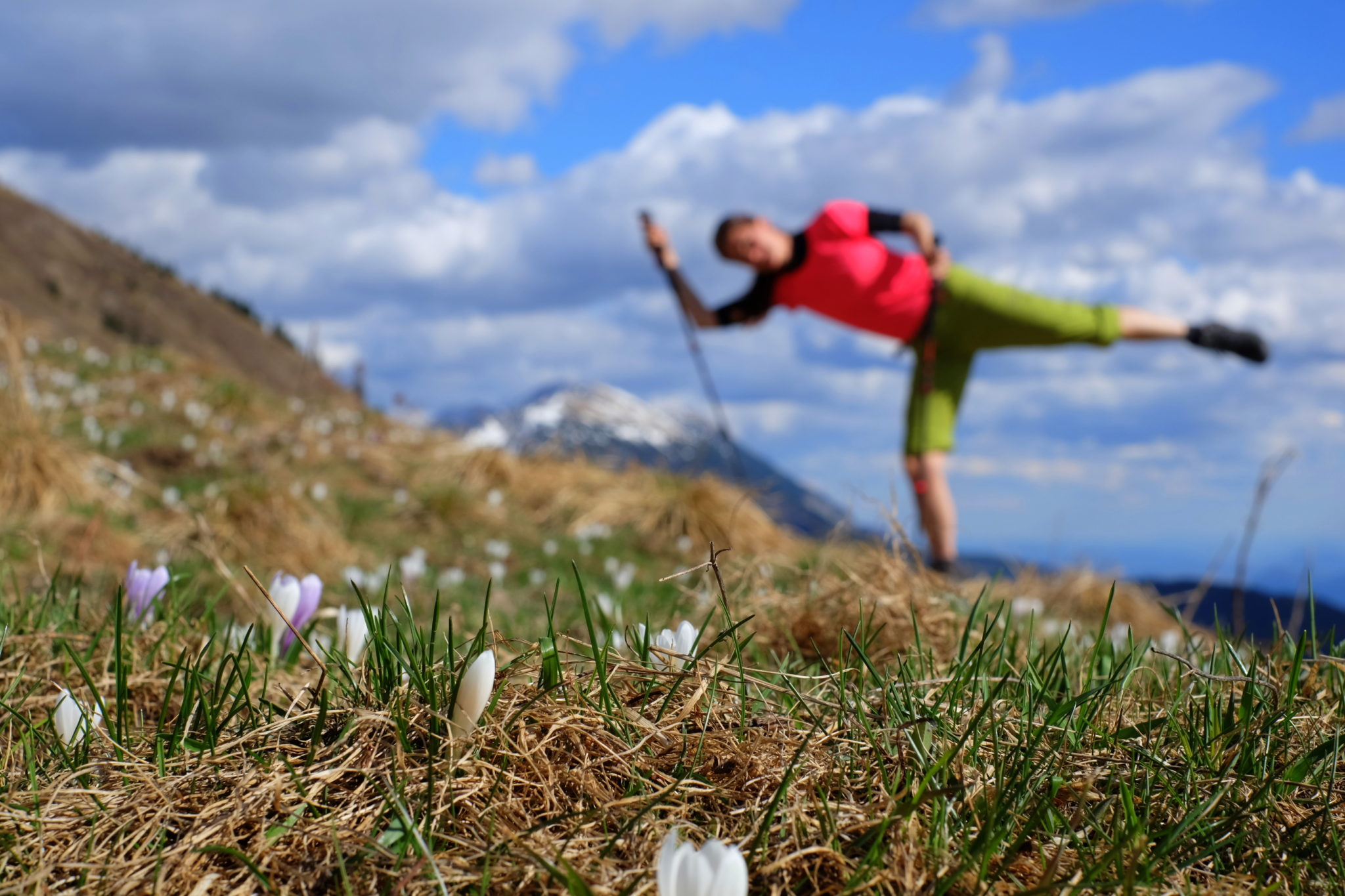 Mountains, flowers, crocuses, woman mountaineer, sun