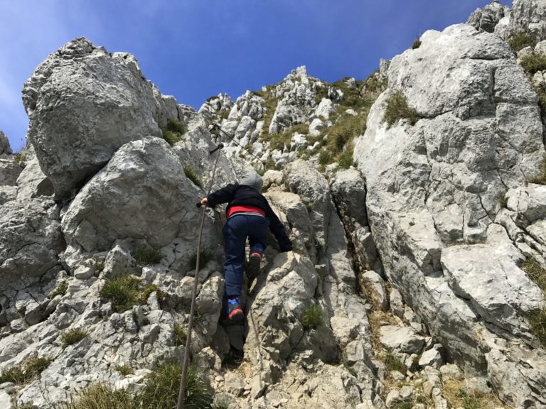 A little boy climbing a mountain