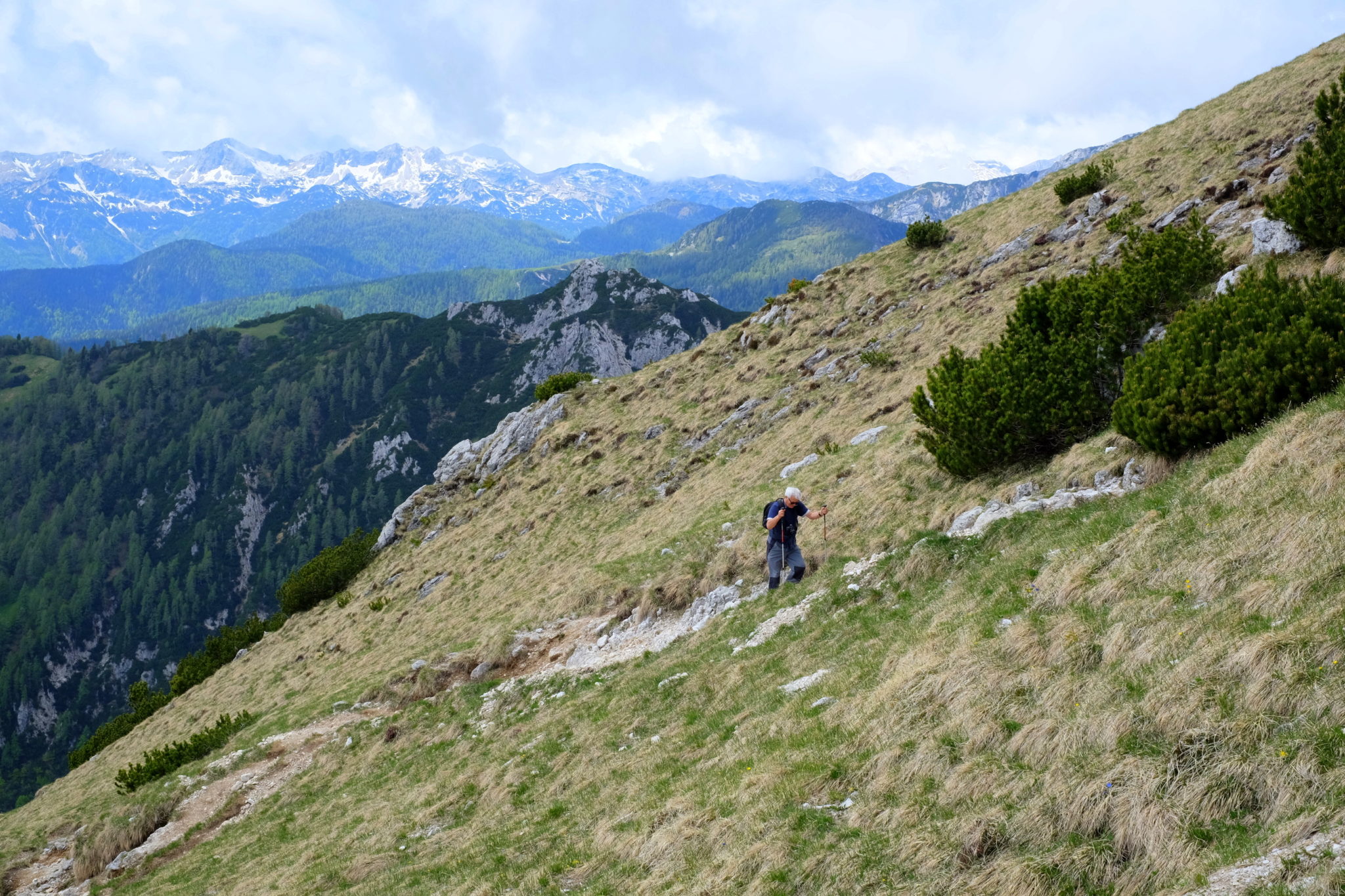 Hiking Viševnik, a beautiful mountain above Bled
