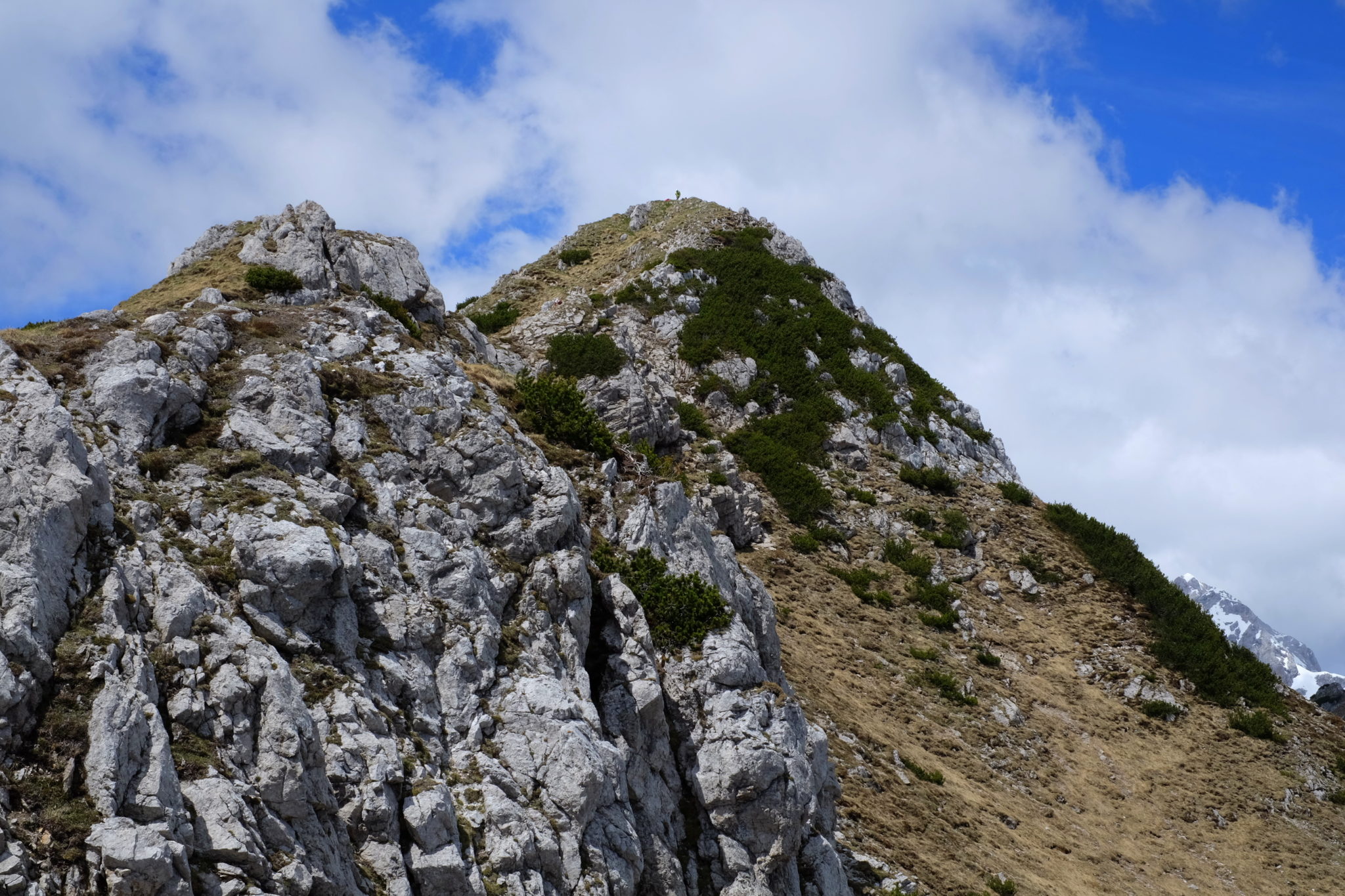 Viševnik, Julian Alps