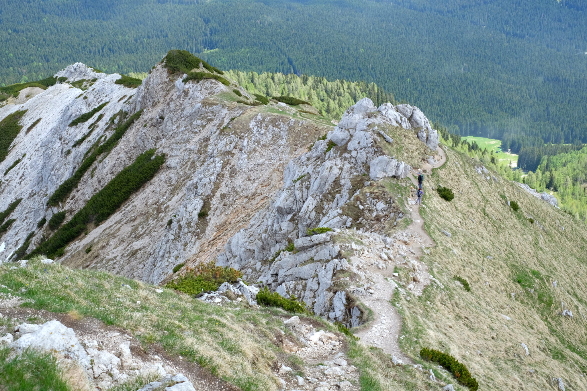 A trail to the top of Viševnik follows the ridgeline