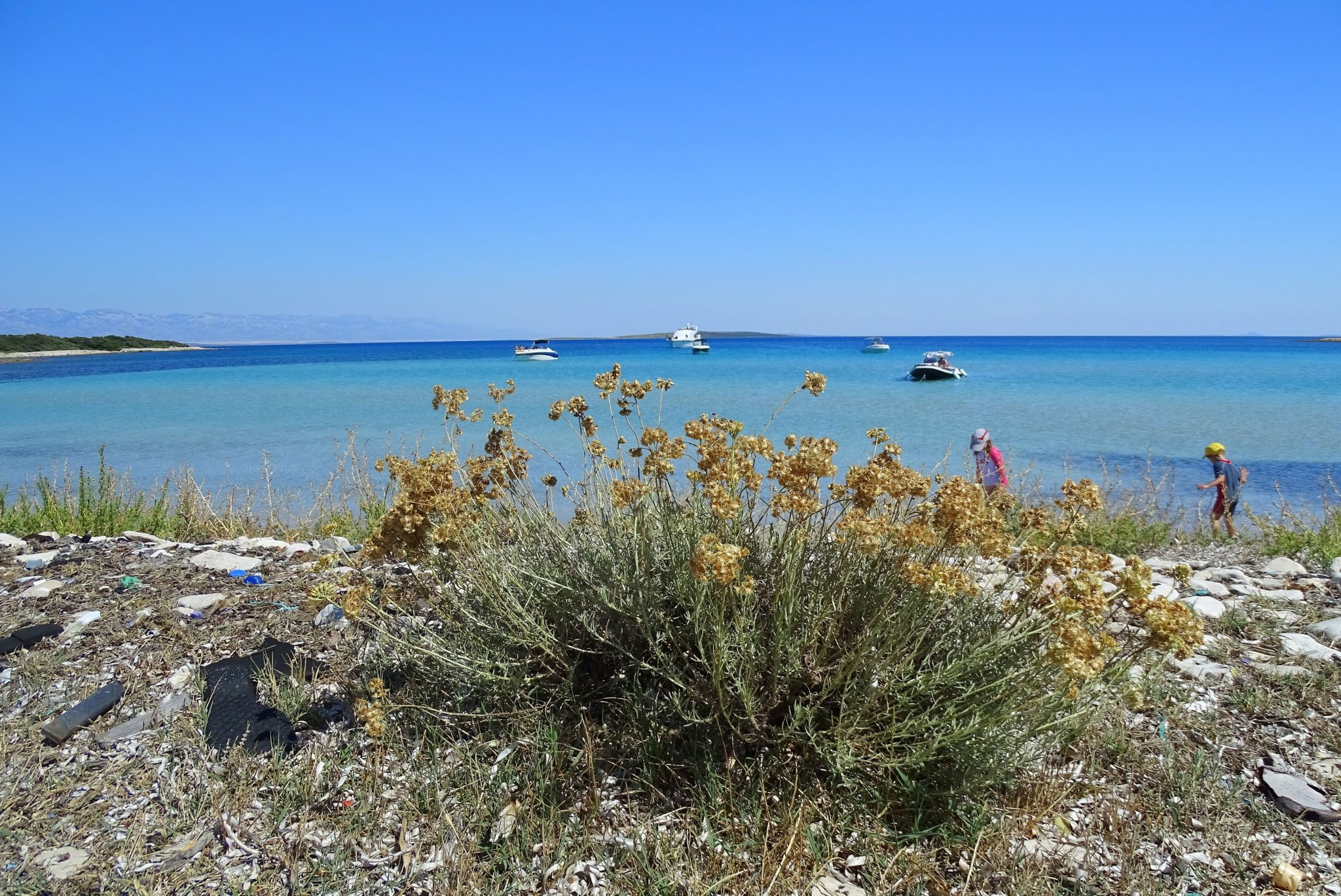 A wild beach on the Olib Island, Croatia