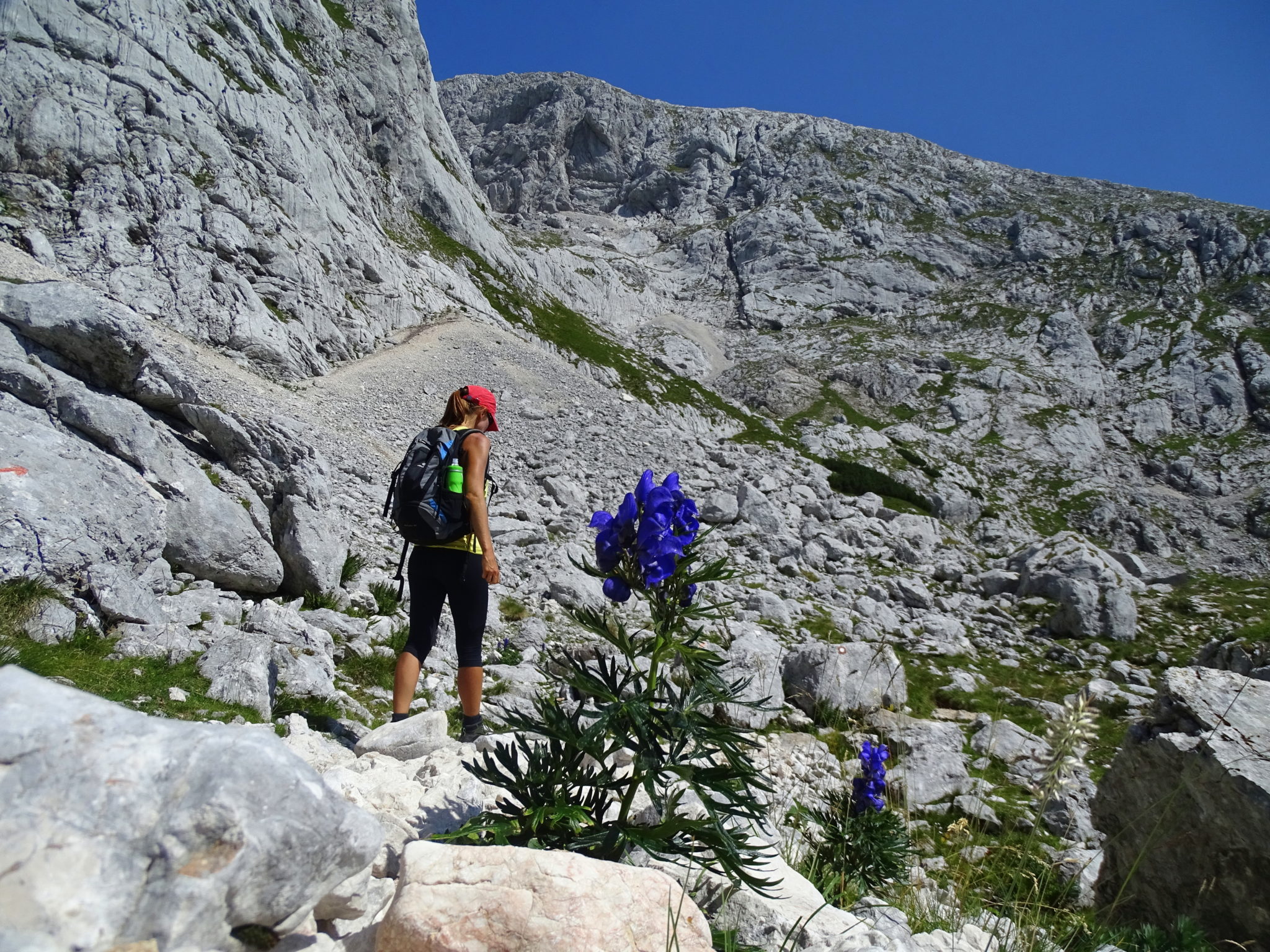 Hiking towards Grintovec, Slovenia