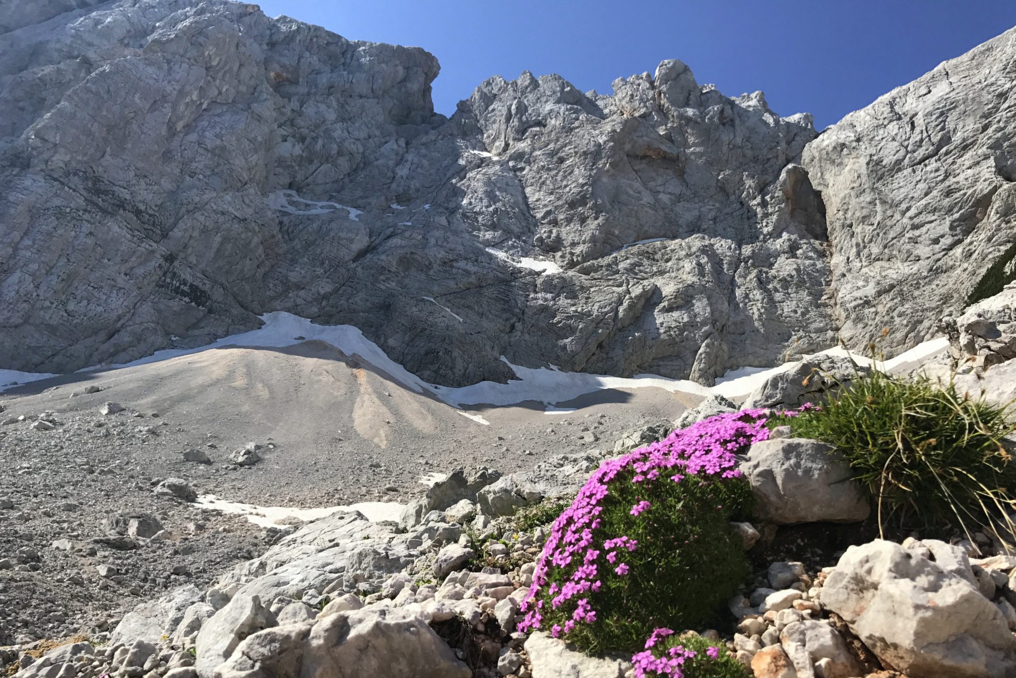 Grintovec from the north side