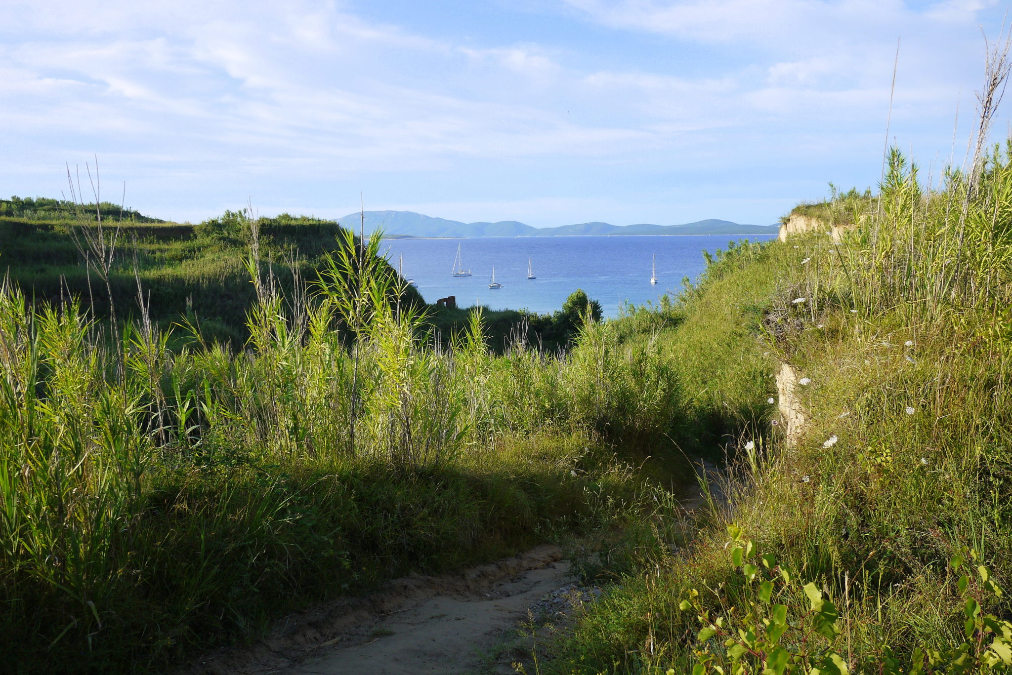 The Susak island is sandy and overgrown with bamboo.