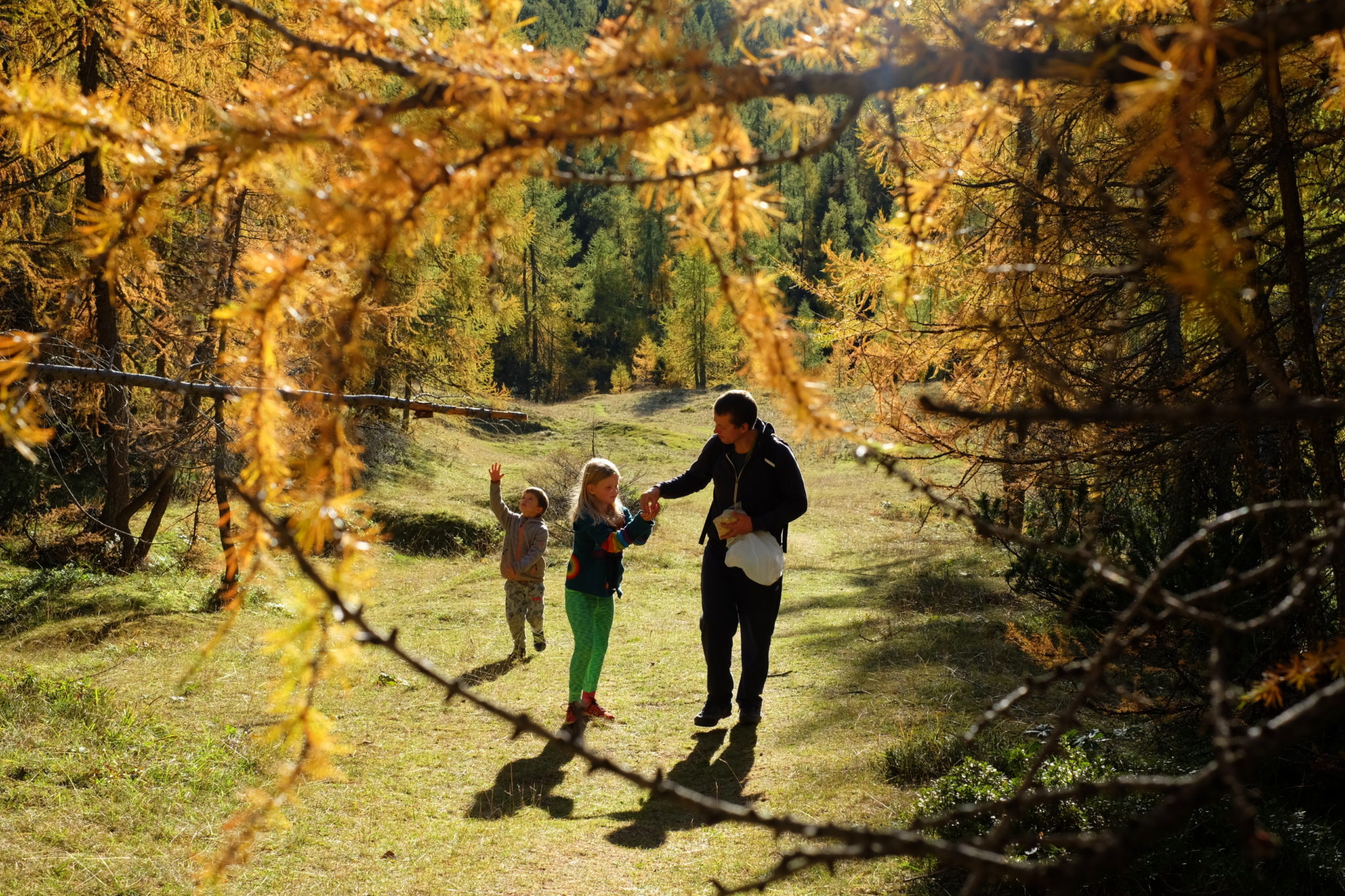 Familiy hiking around Kranjska Gora, Trupejevo Poldne, Karawanks