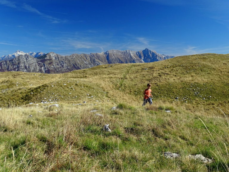 A little boy hikes up a scenic mountain