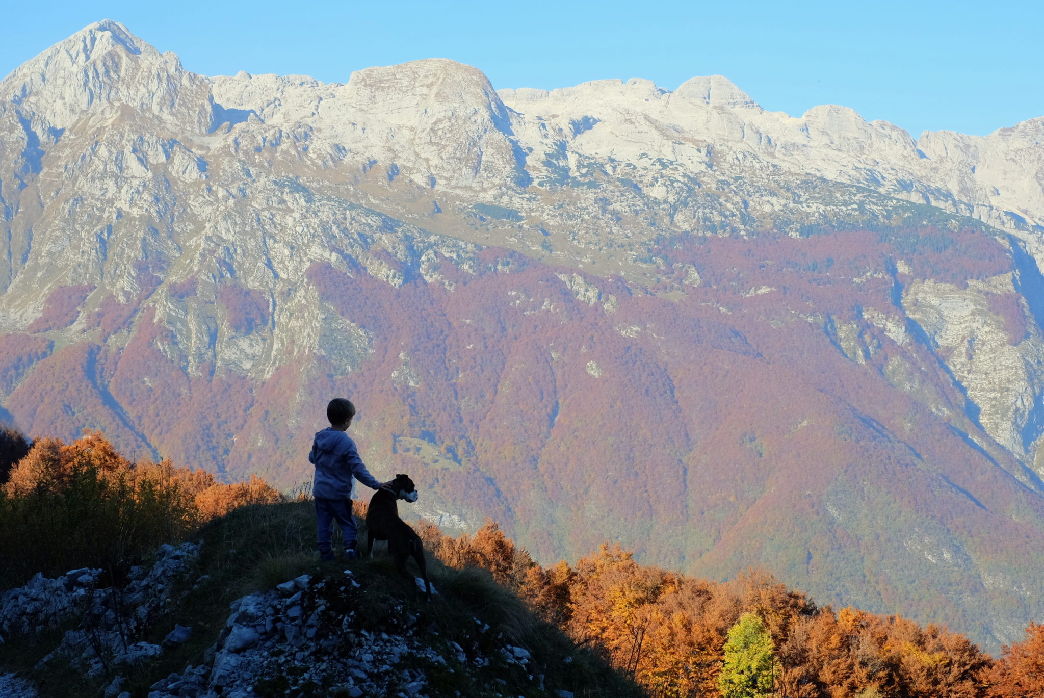 A boy and a dog in the mountains, Slovenia