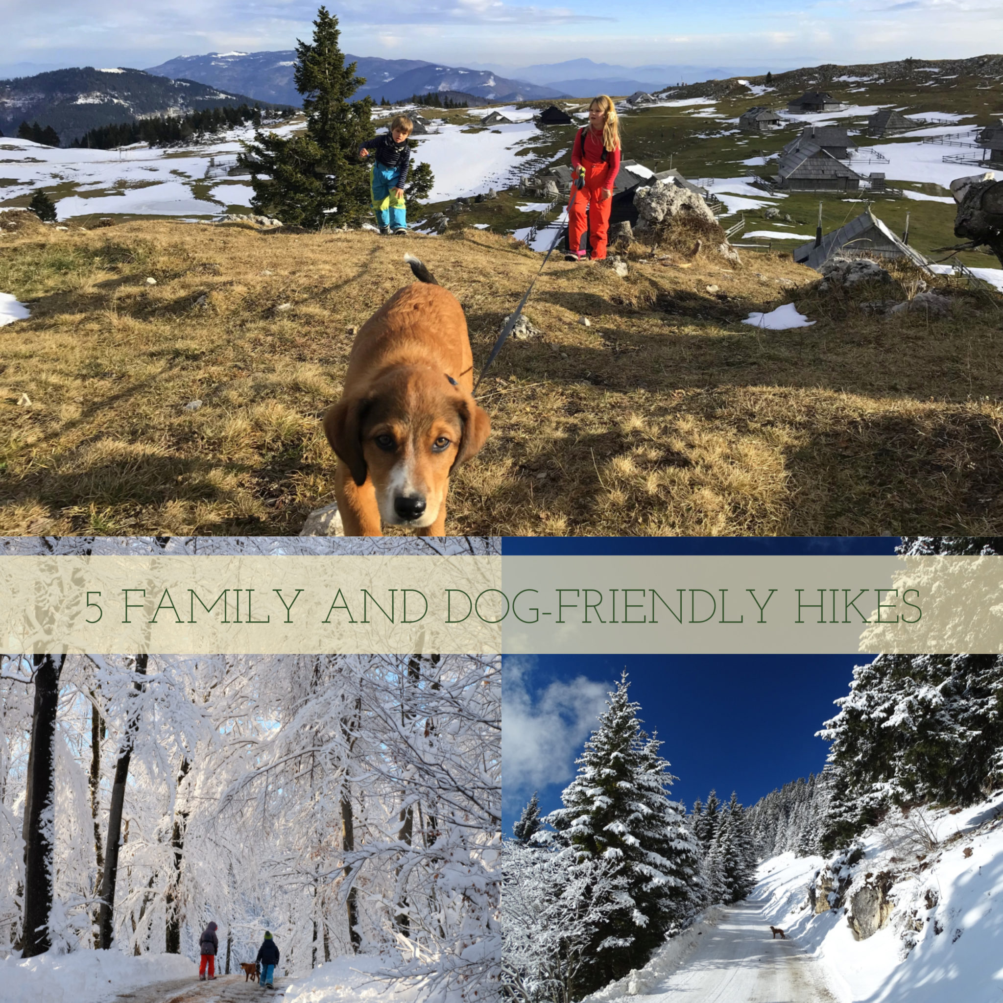 Five family and dog-friendly hikes in Slovenia