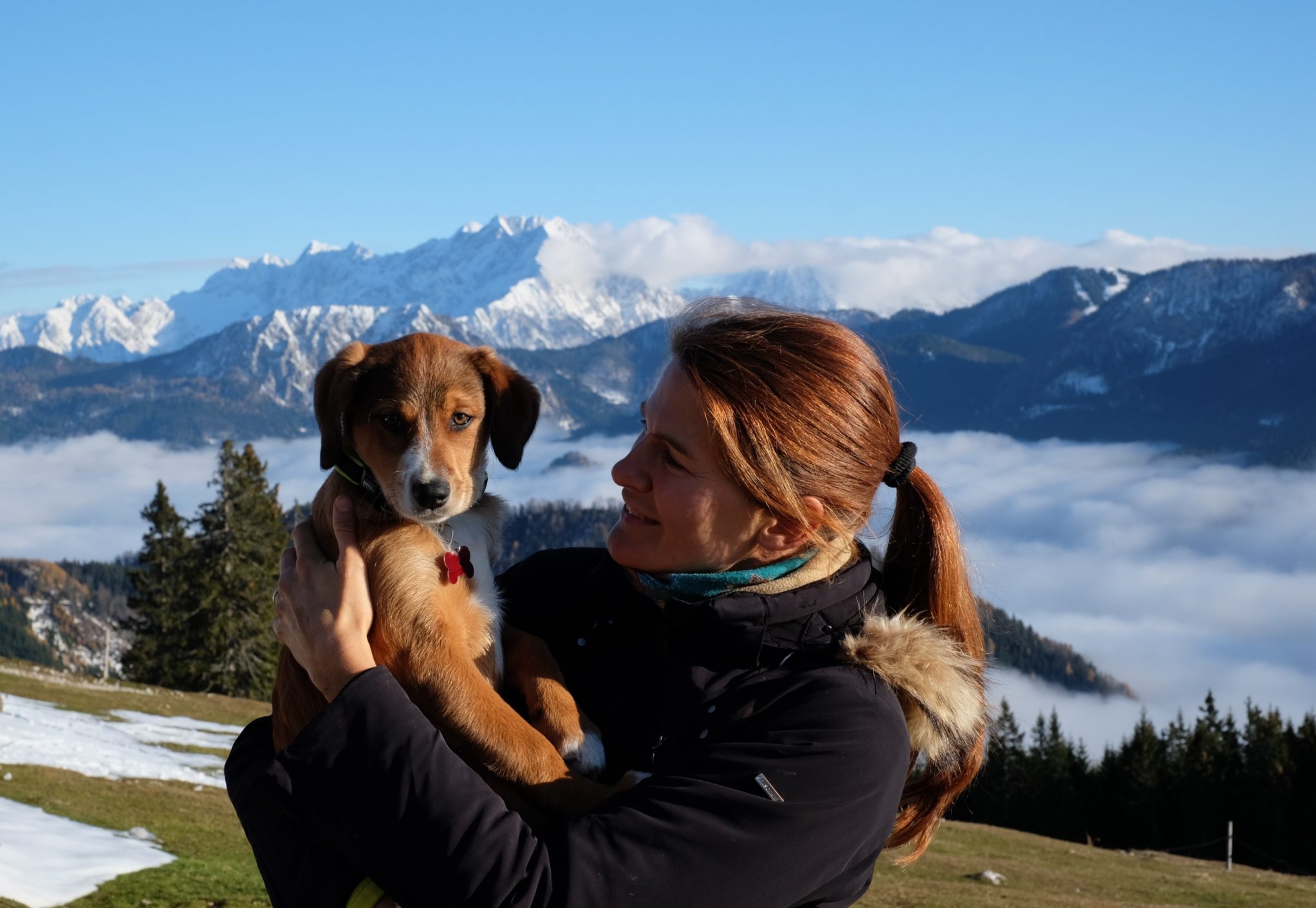 A puppy and a woman hiker in the mountains, Slovenia