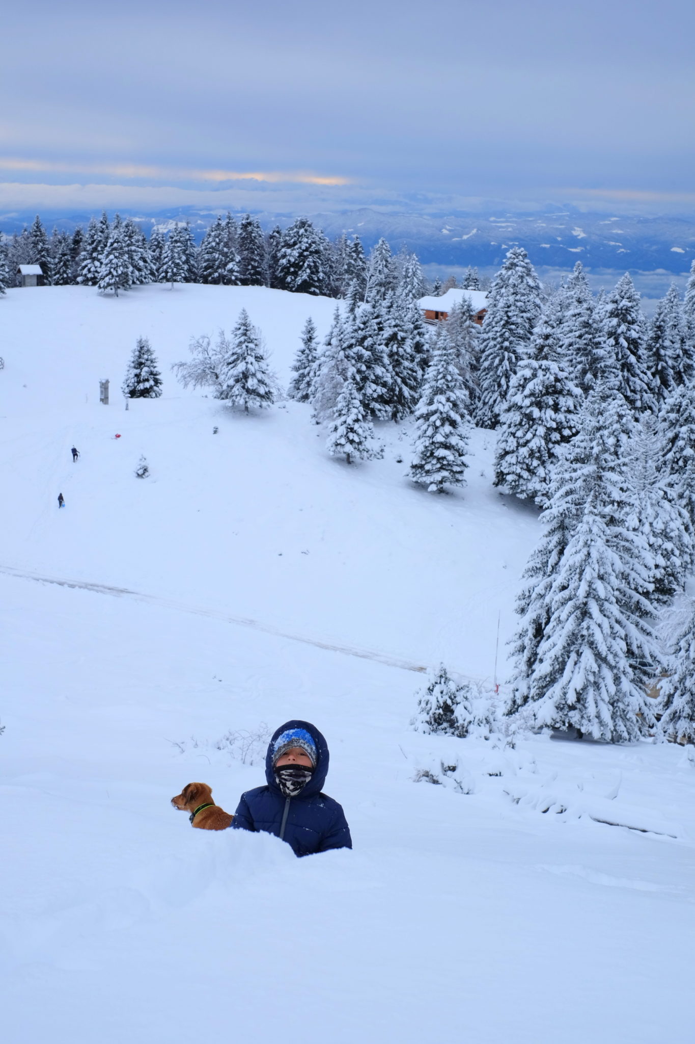 Kids and a dog having fun on Kriška Planina, Krvavec