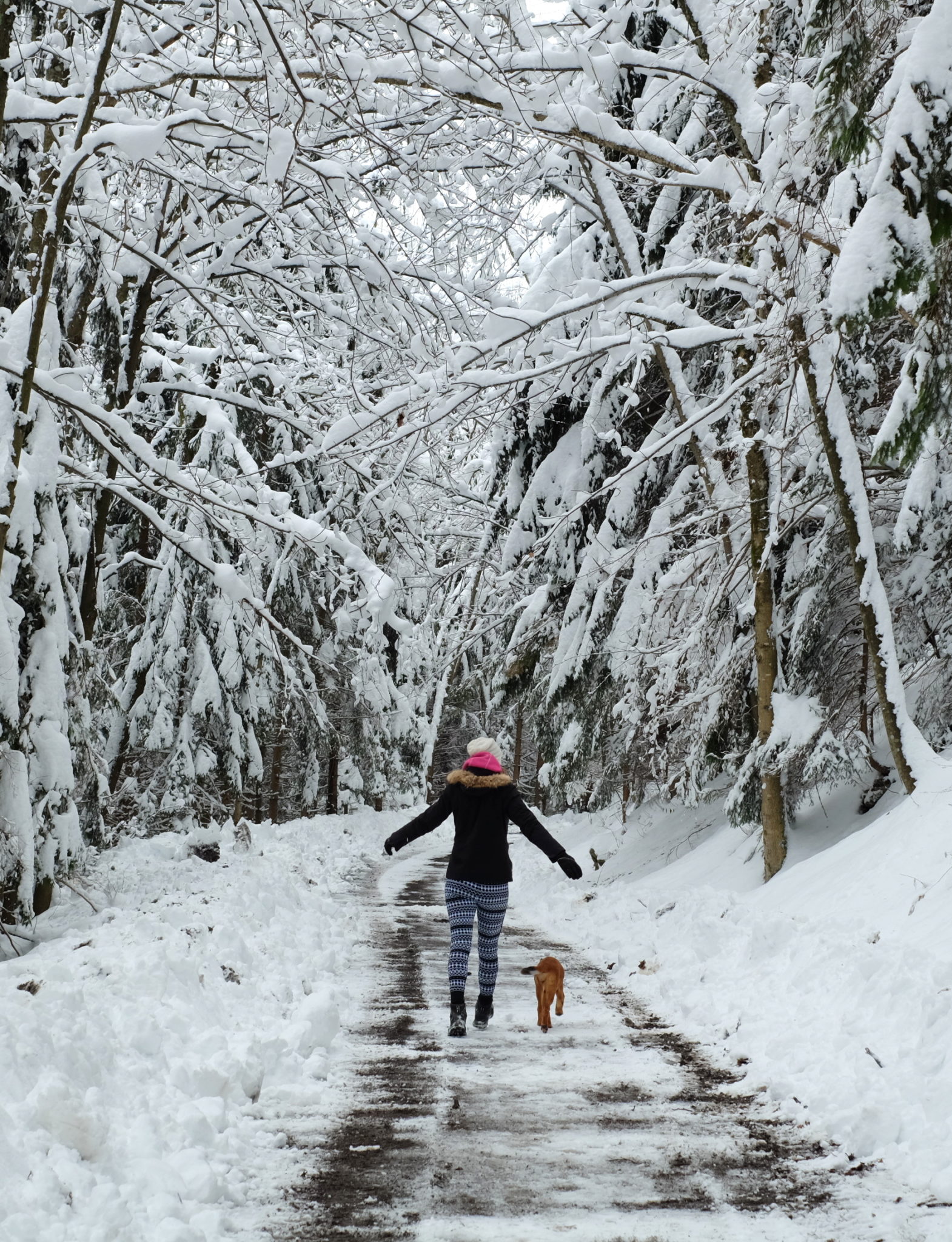 Walking the dog on the most beautiful road