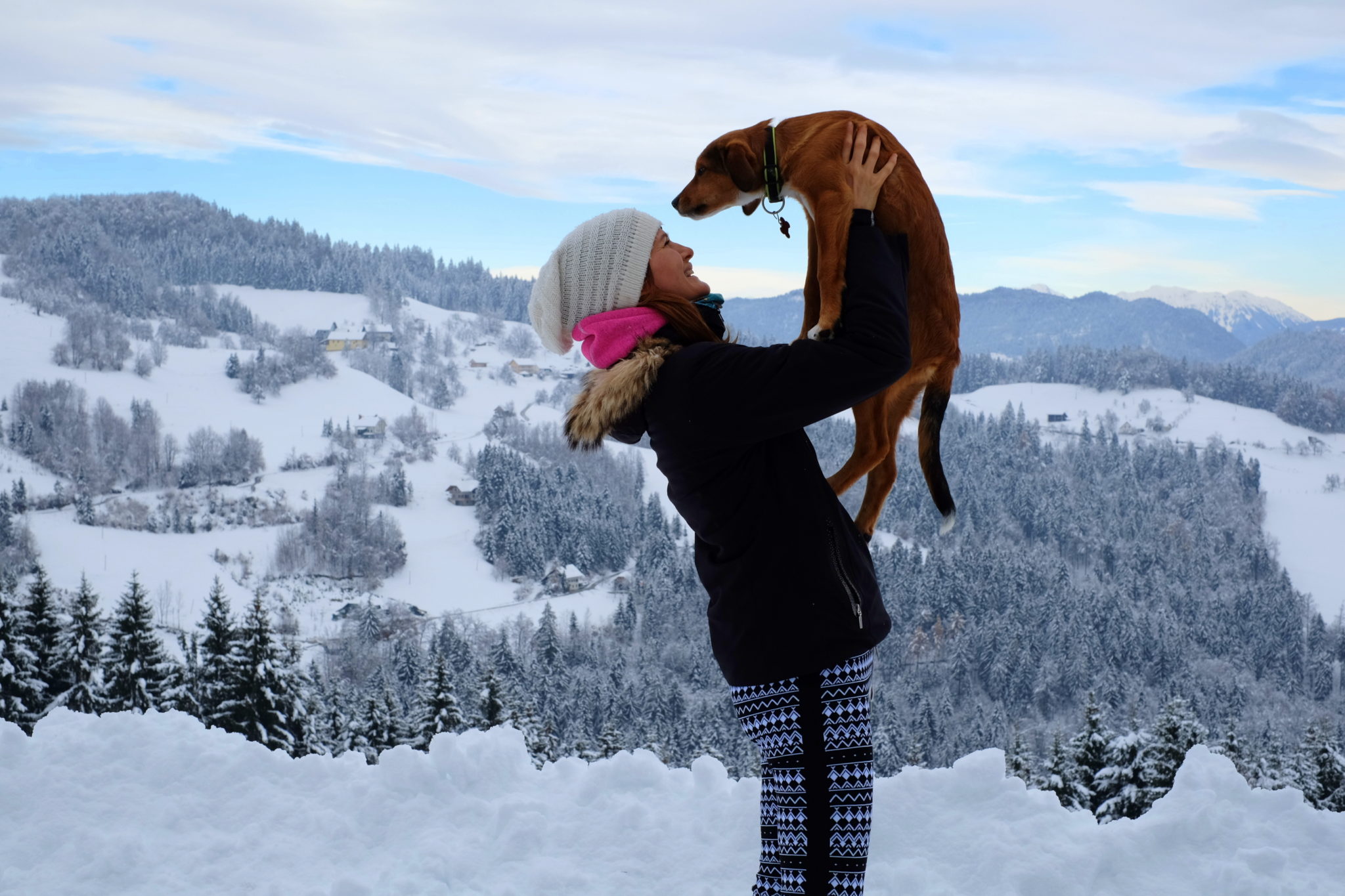 A cute puppy and her owner in the mountains