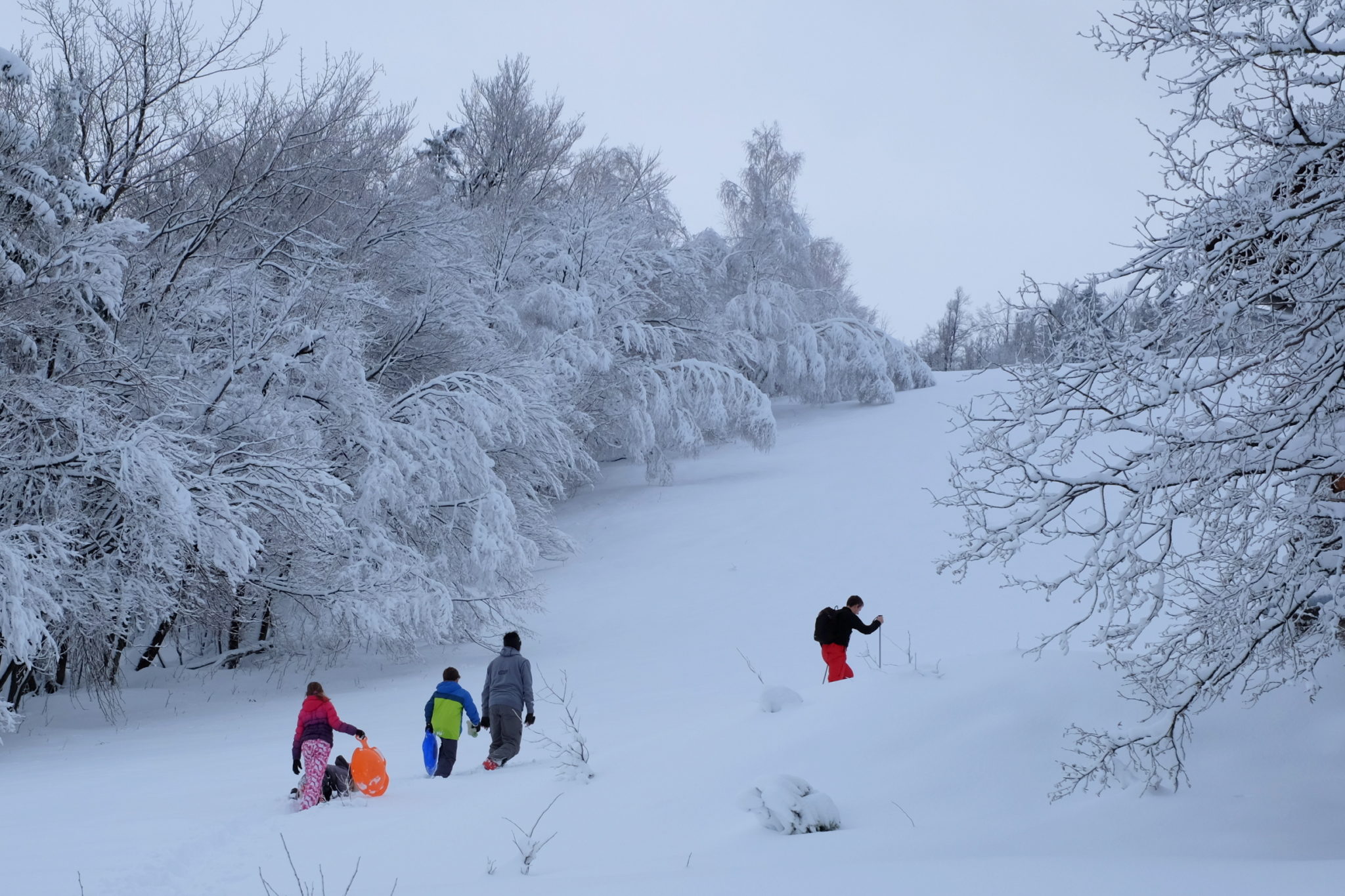 Winter hiking above Vrhnika.