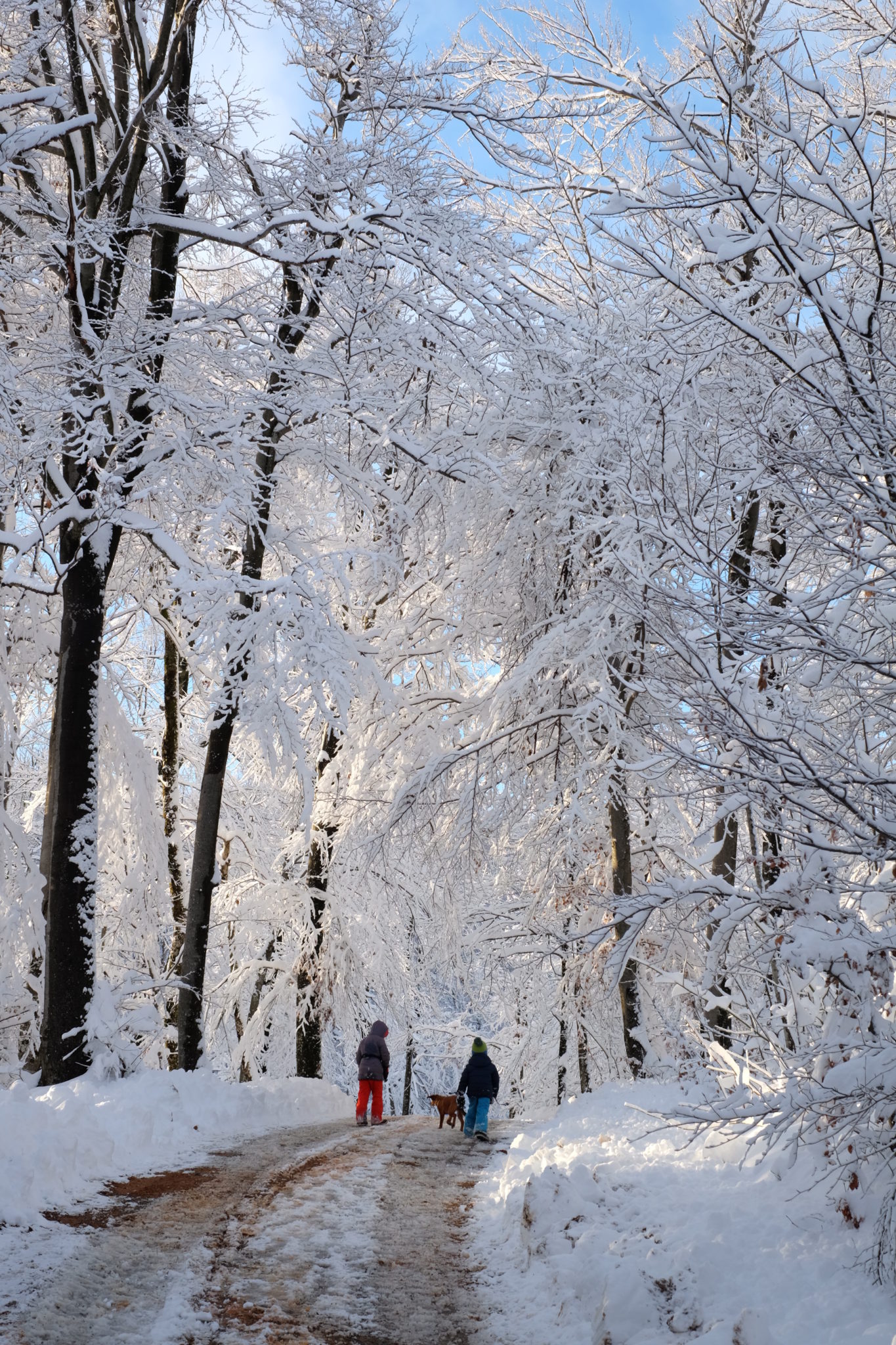 The white fairytale above Vrhnika, Slovenia