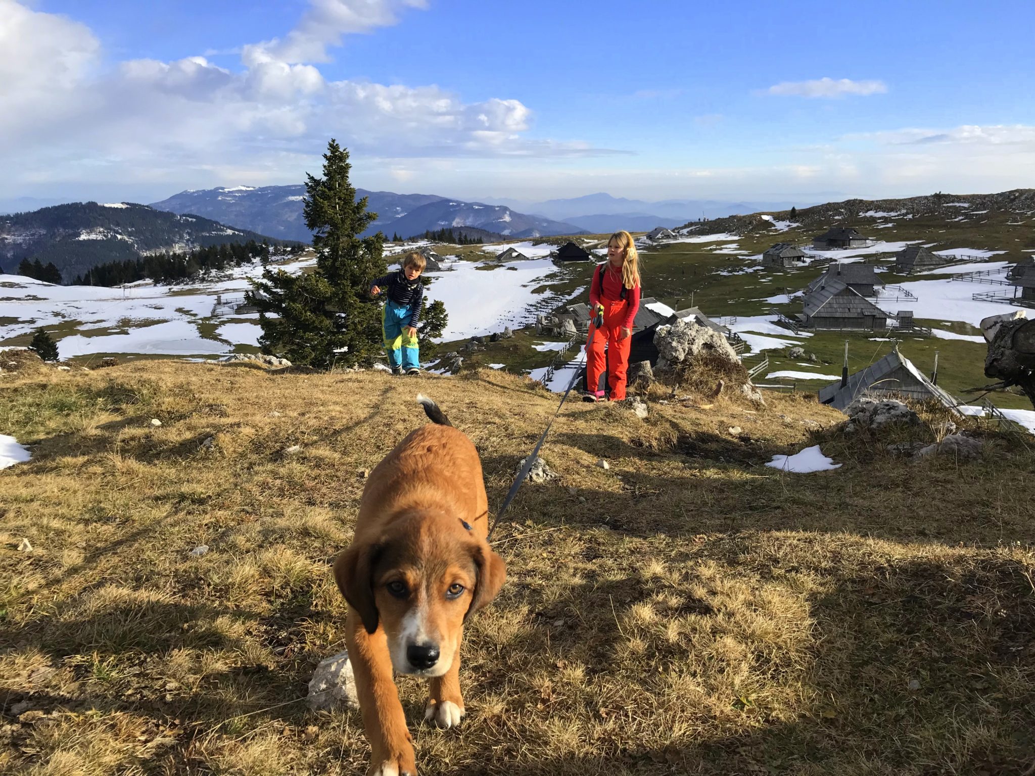 Kids with Lisa the puppy on Mala Planina, Slovenia, Central Slovenia