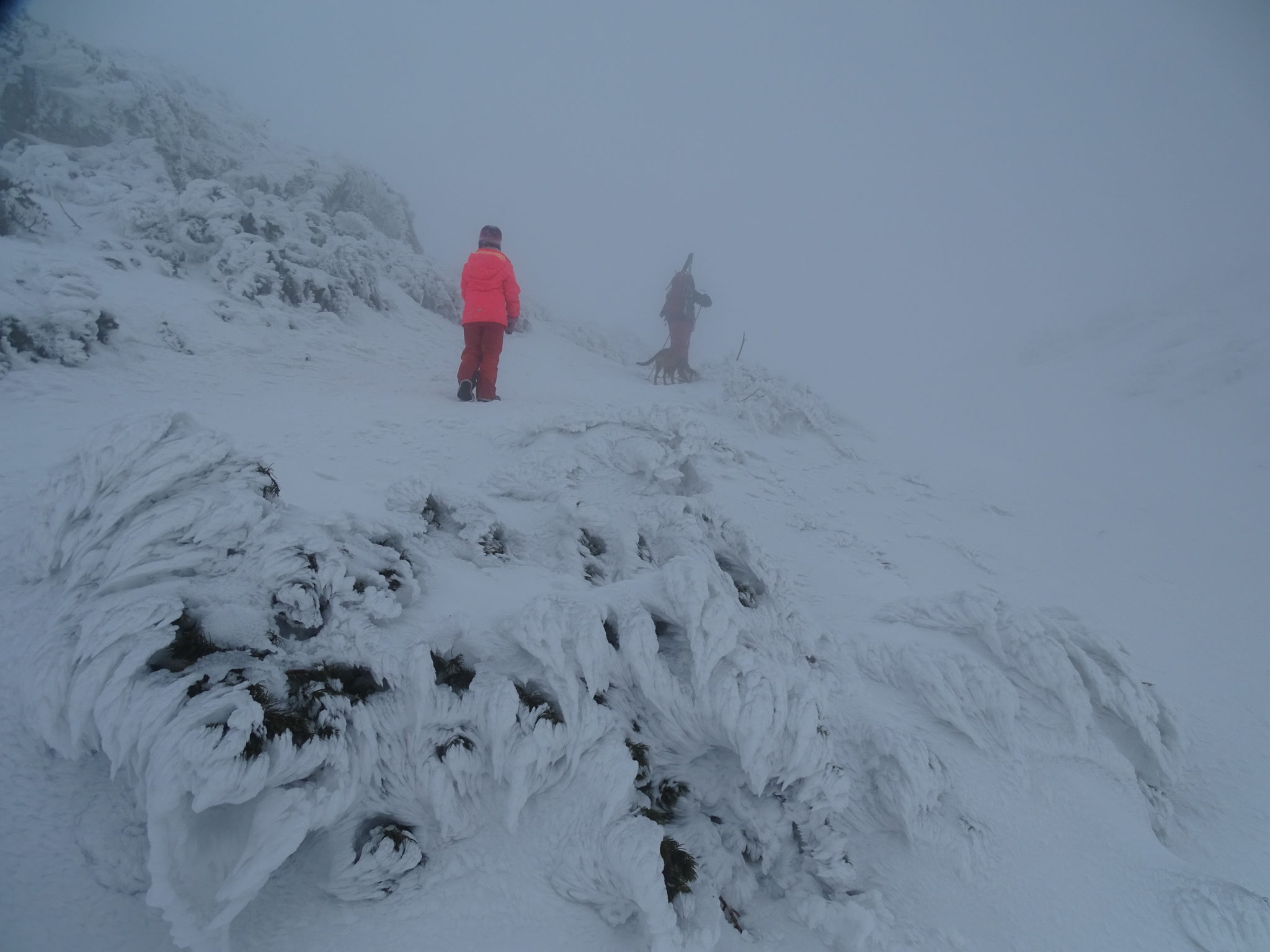 Hiking Snežnik in winter, frozen sculptures, Slovenia