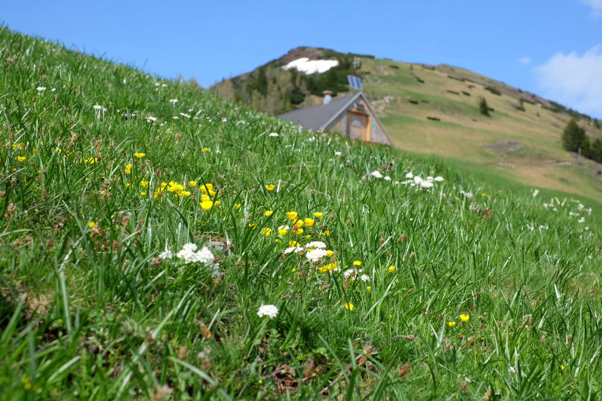 A shepherd’s hut on the Dovška Rožca Plateau, 1,650 m, on the way to Dovška Baba, Slovenia