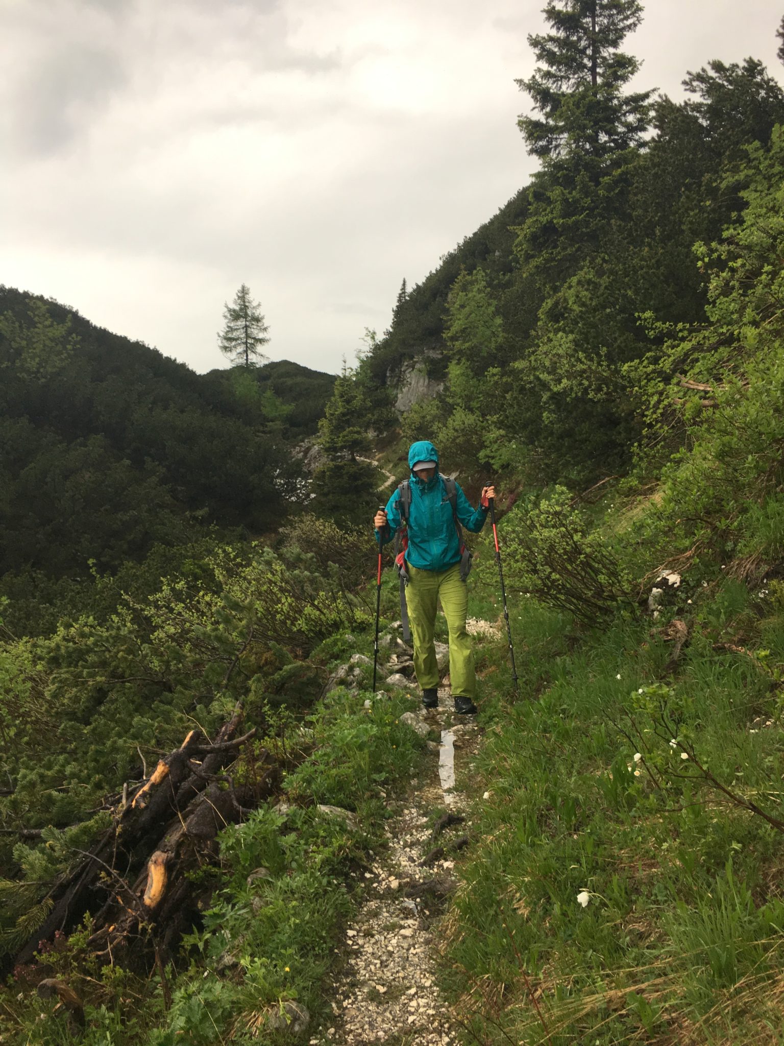 On the way from the Double Lake to the Komna Hut