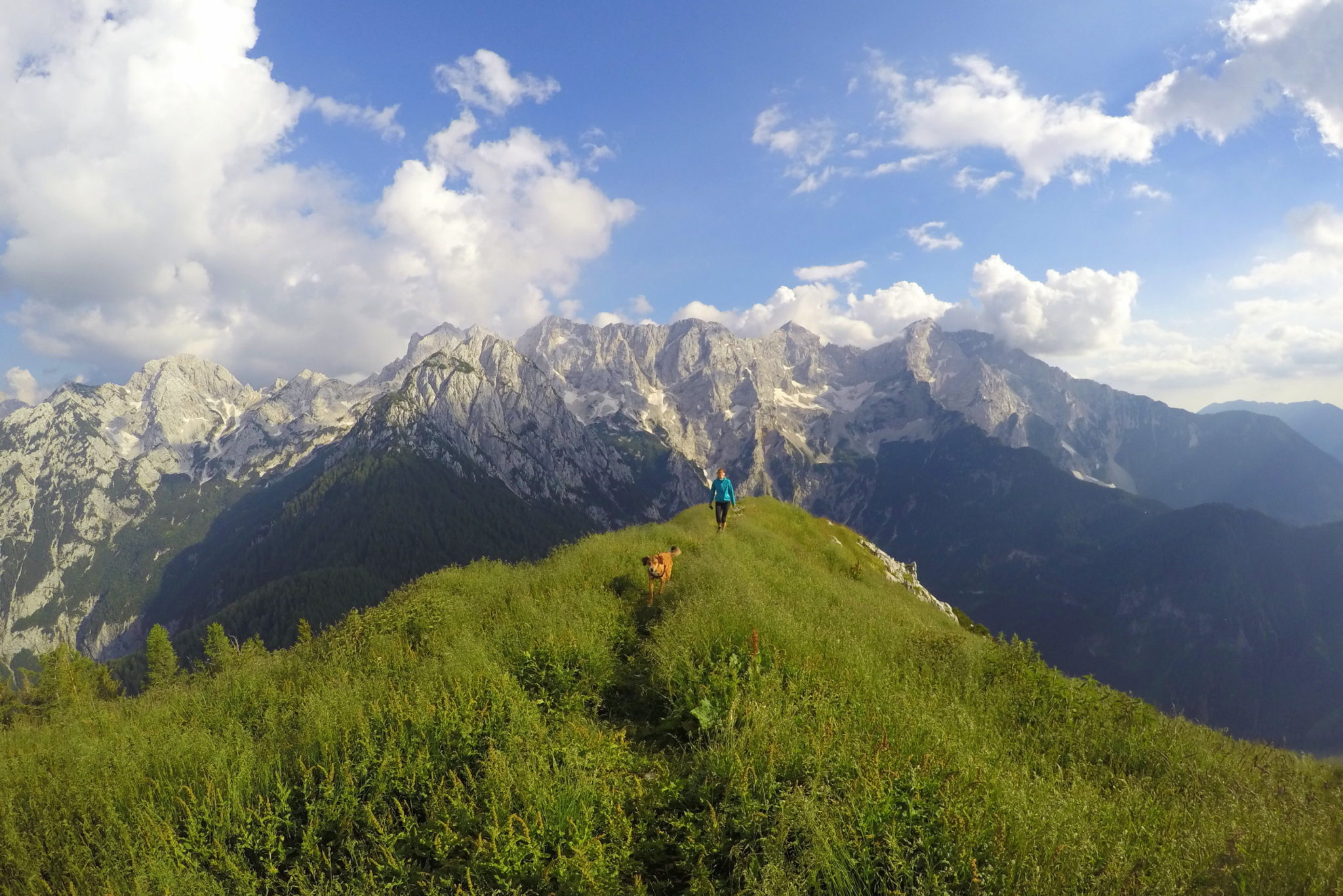 Arriving at the top of Goli Vrh, the Kamnik-Savinja Alps, Slovenia