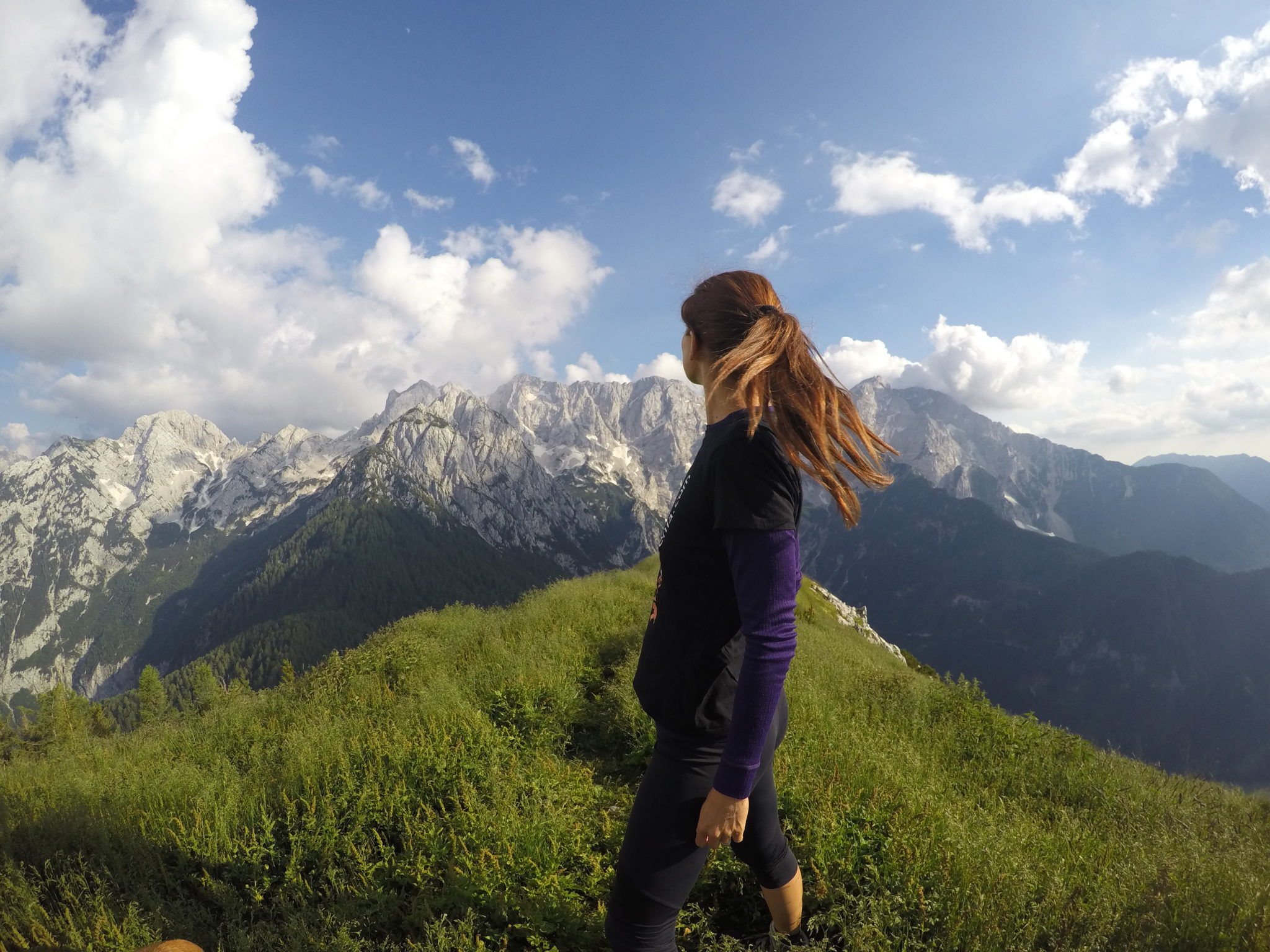 At the top of Goli Vrh, the Kamnik-Savinja Alps, Slovenia