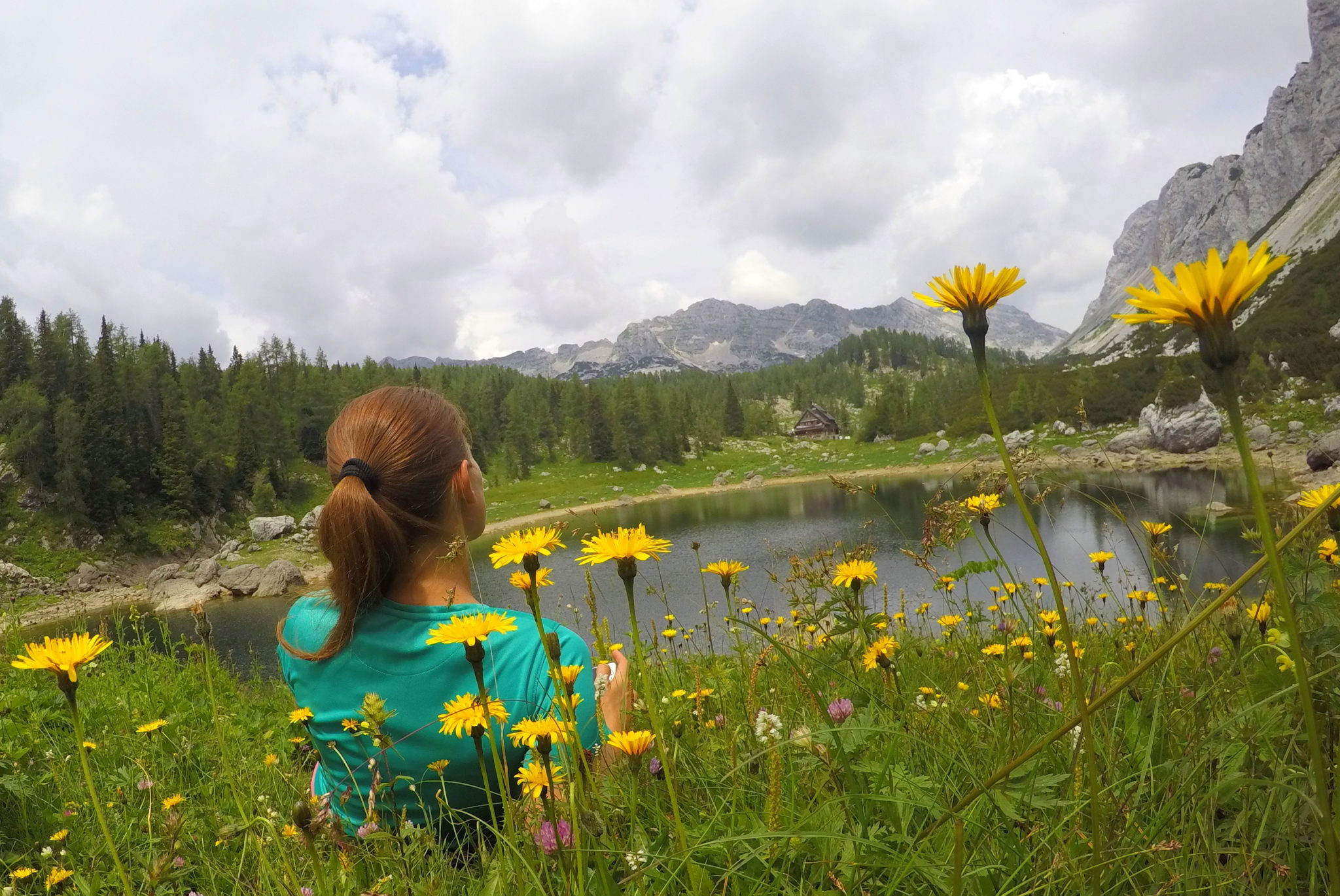 Lying in grass beside the Double Lake, Triglav Lakes, Julian Alps, Slovenia