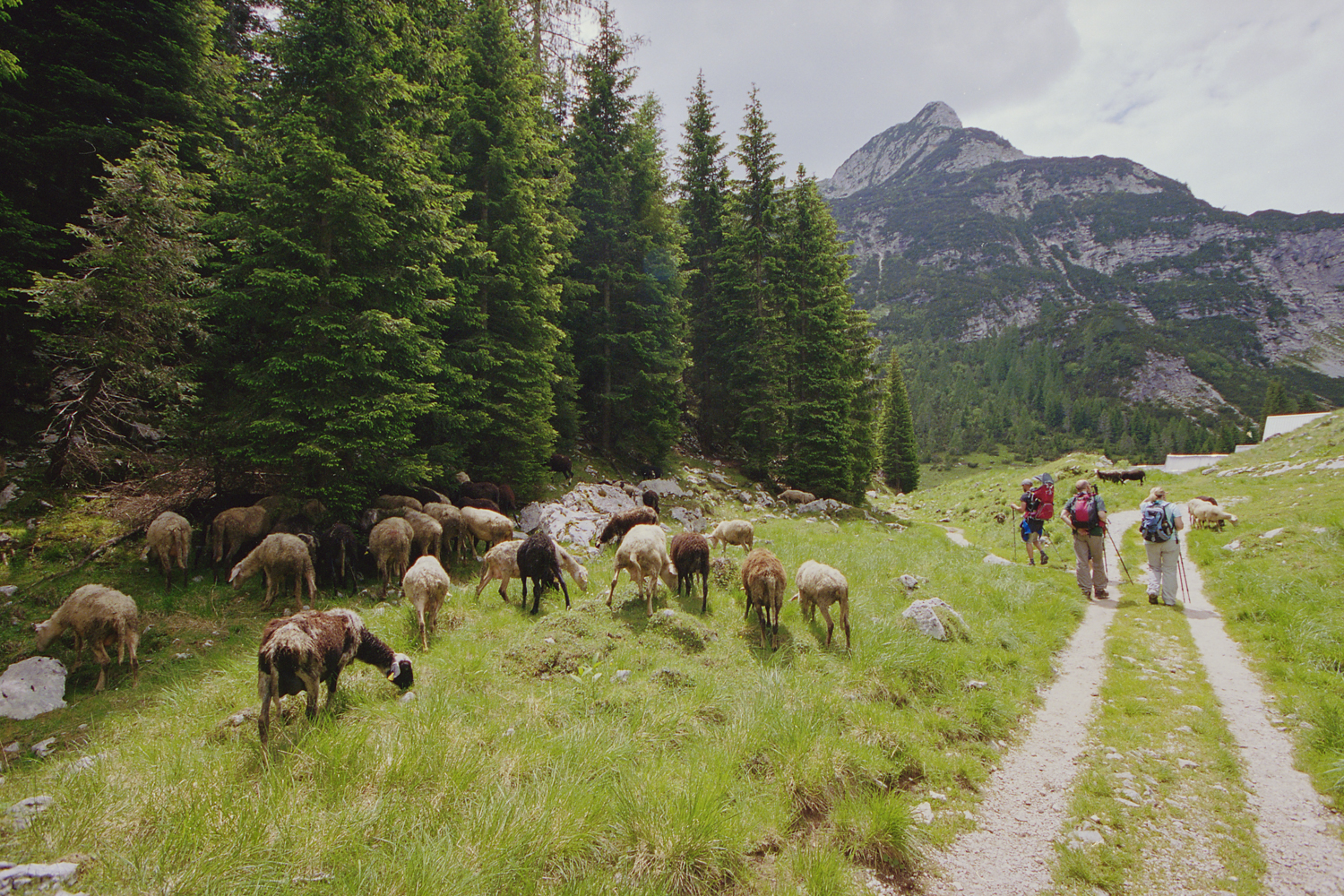 Hiking in Julian Alps, Slovenia