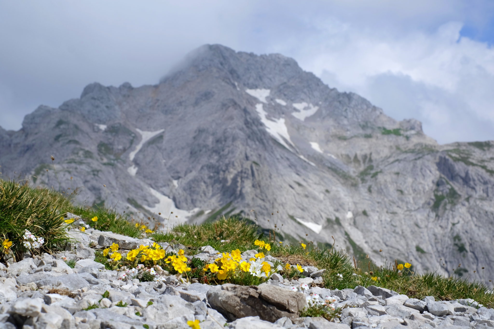 Ojstrica as seen from the top of Lučki Dedec, the Kamnik-Savinja Alps, Slovenia