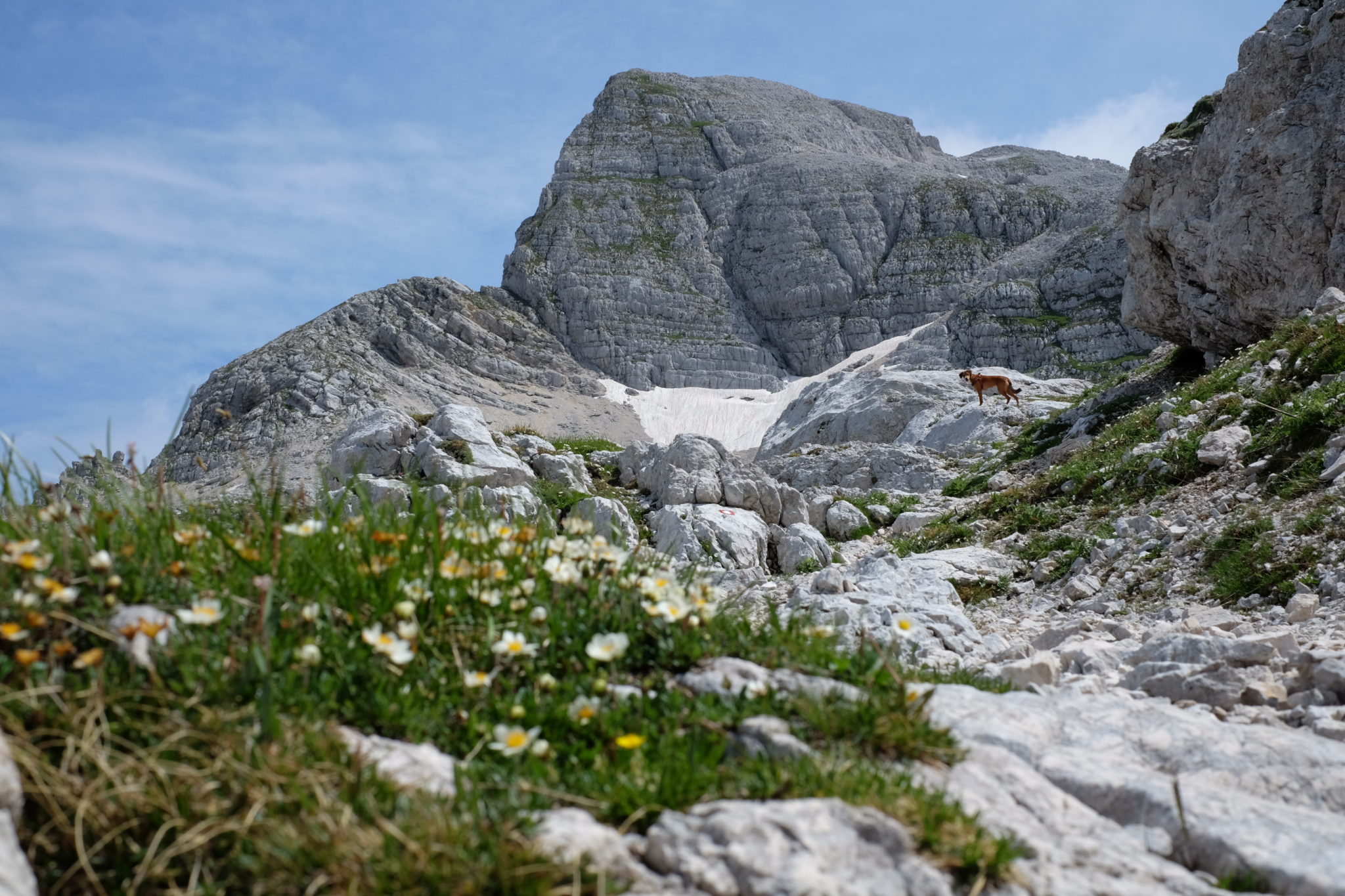 Beautiful Julian Alps, Mt. Stenar, Kriški podi, Slovenia