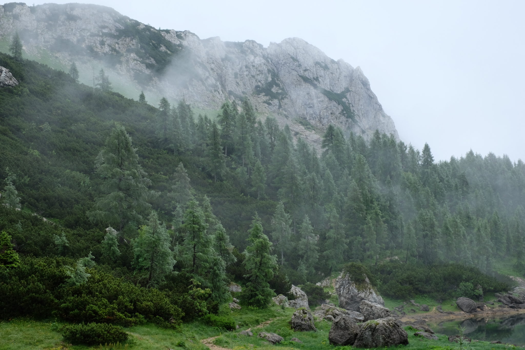 Foggy mountains